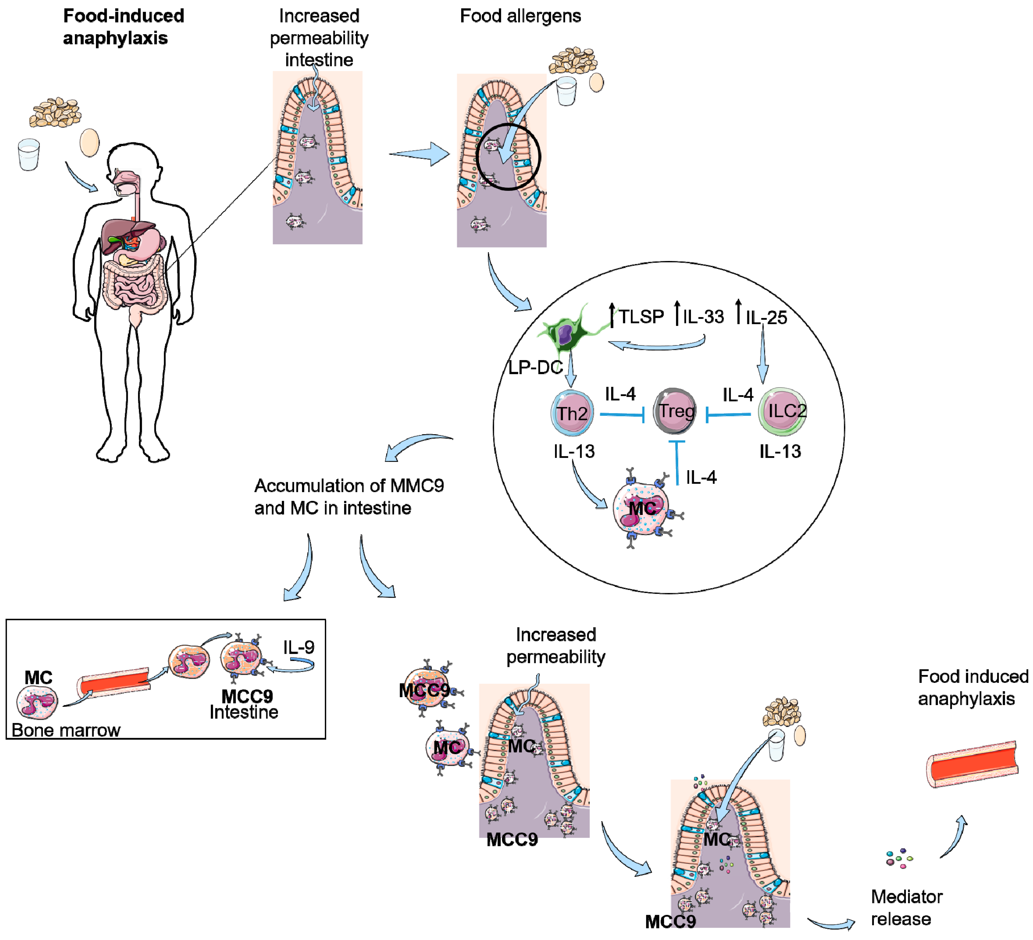 Nutrients 12 03830 g002 Nutrients 12 03830 g002