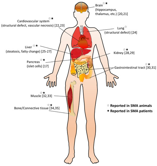 Nutrients 12 03842 g001 550