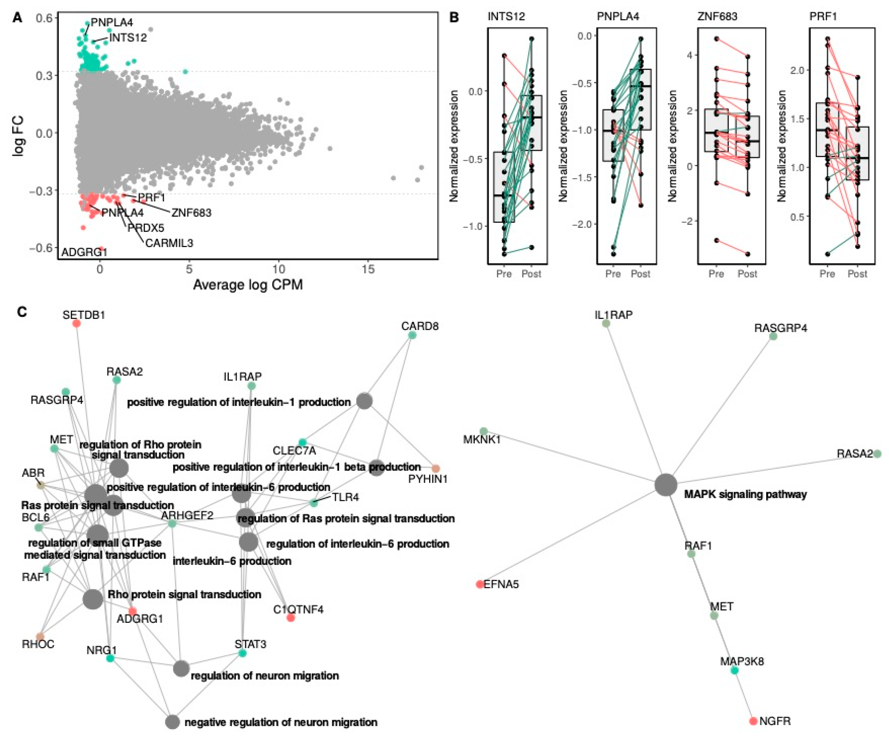 Nutrients 12 03858 g003 Nutrients 12 03858 g003