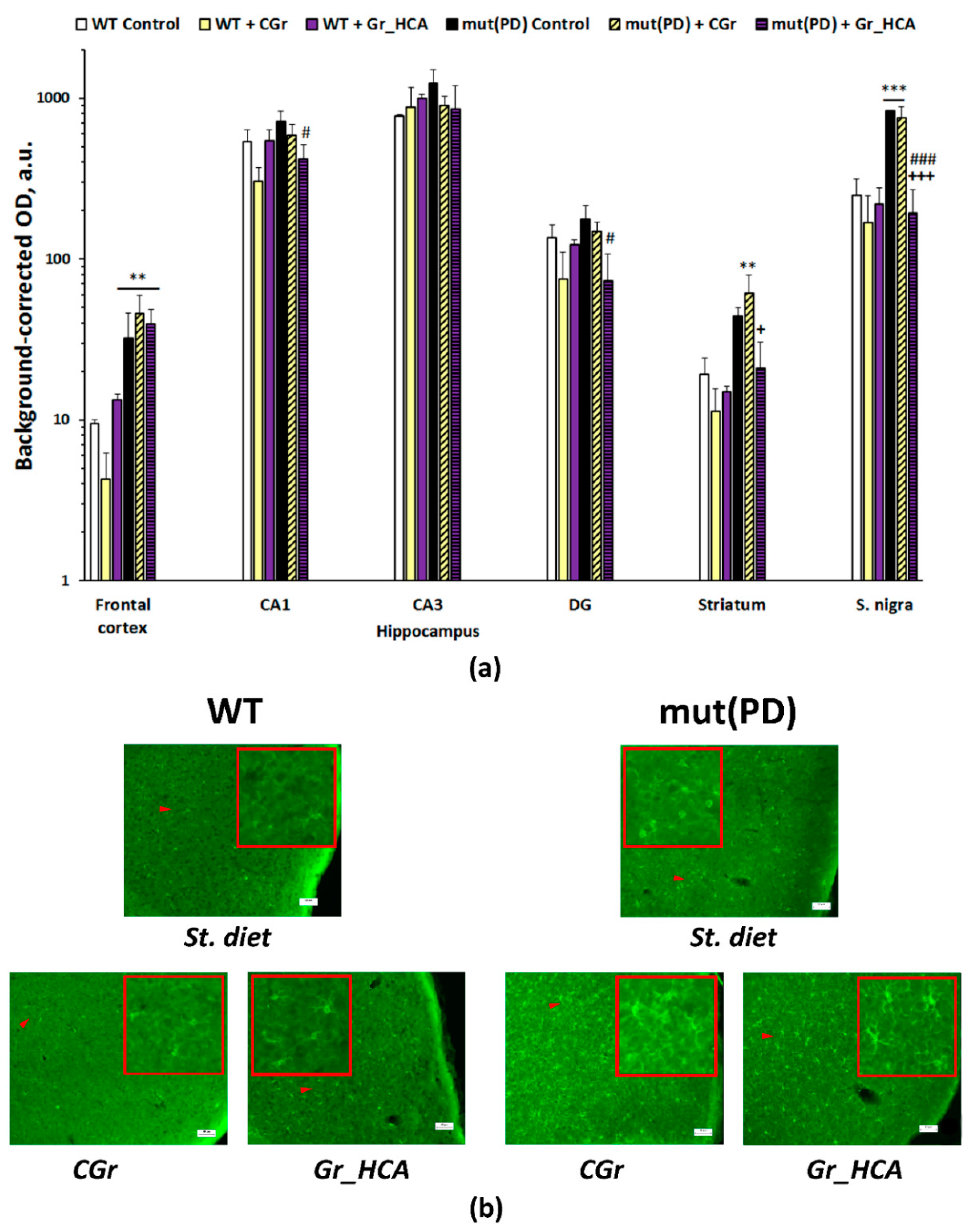 Nutrients 12 03877 g005 Nutrients 12 03877 g005