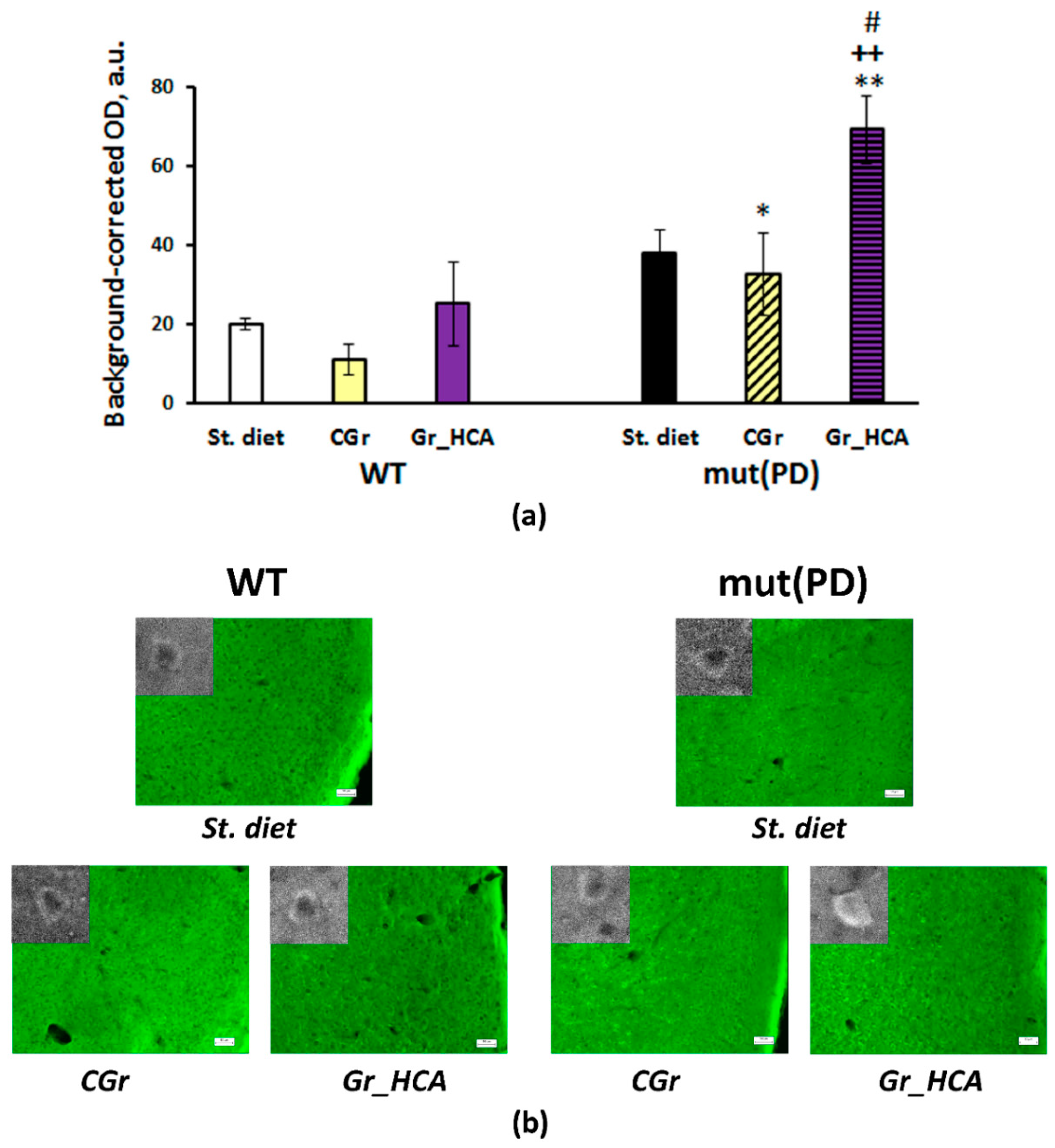 Nutrients 12 03877 g006 Nutrients 12 03877 g006