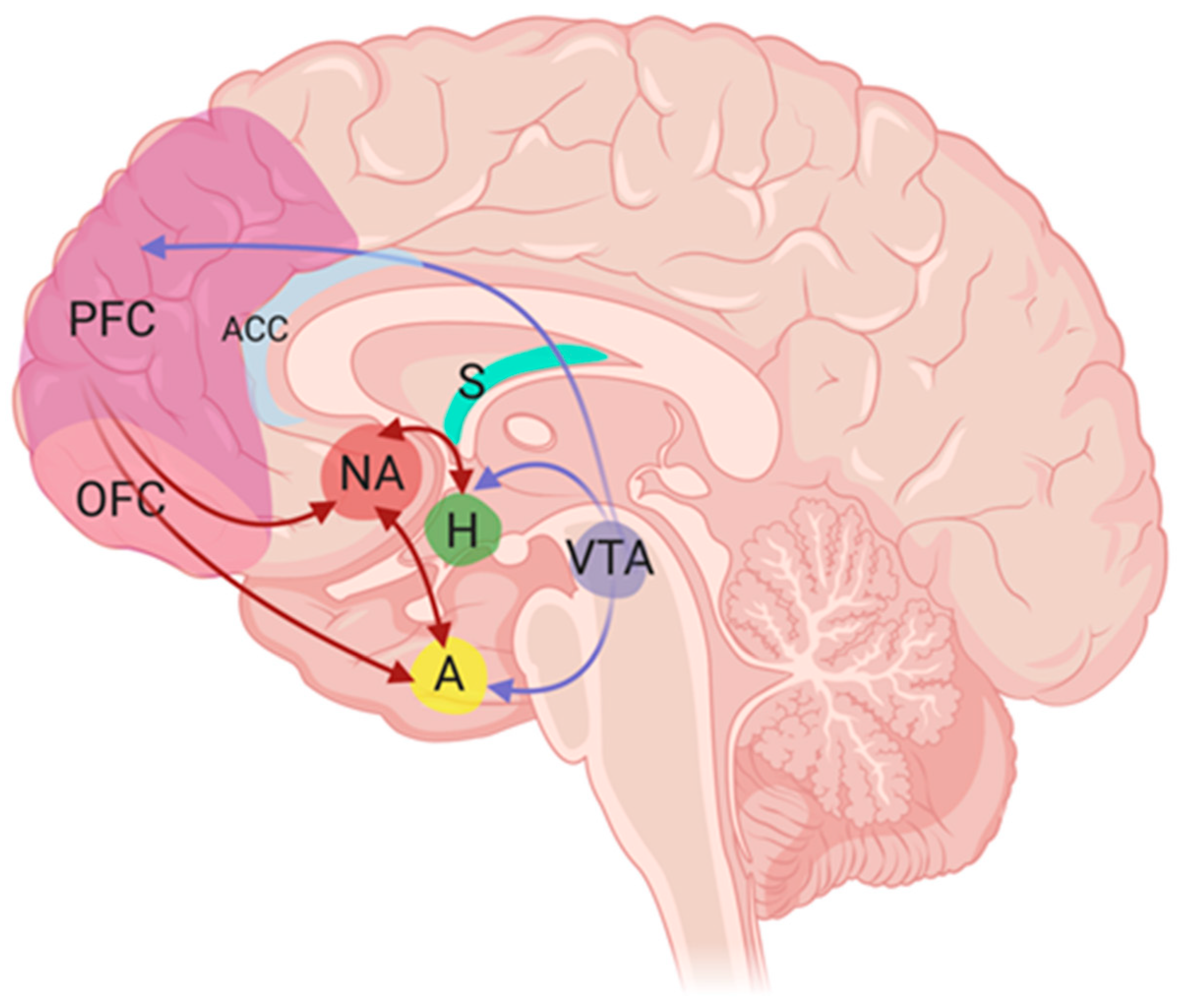 Nutrients 12 03883 g001