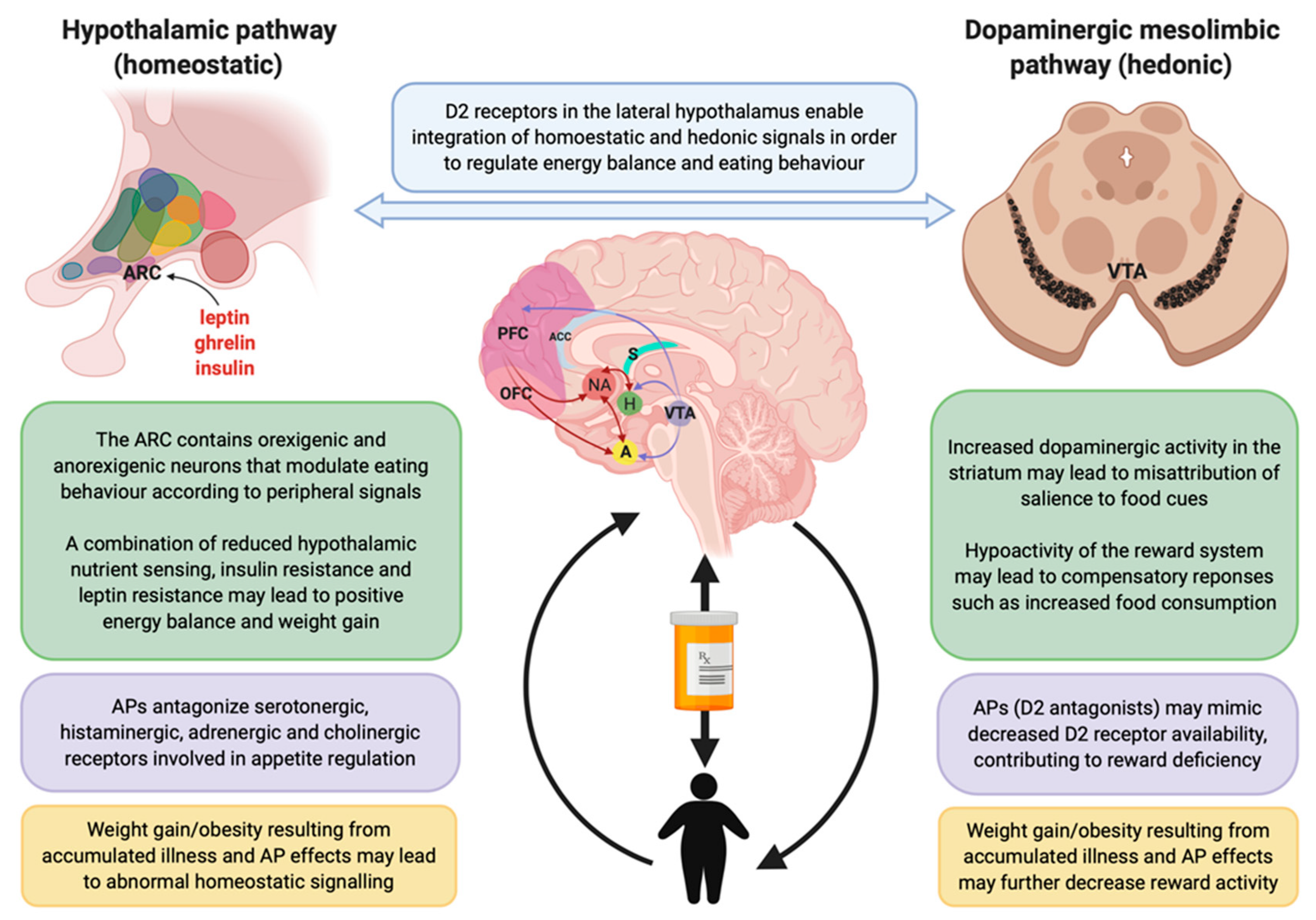 Nutrients Free Full Text Exploring Patterns Of Disturbed Eating In Psychosis A Scoping Review Html Nutrients Free Full Text Exploring Patterns Of Disturbed Eating In Psychosis A Scoping Review Html