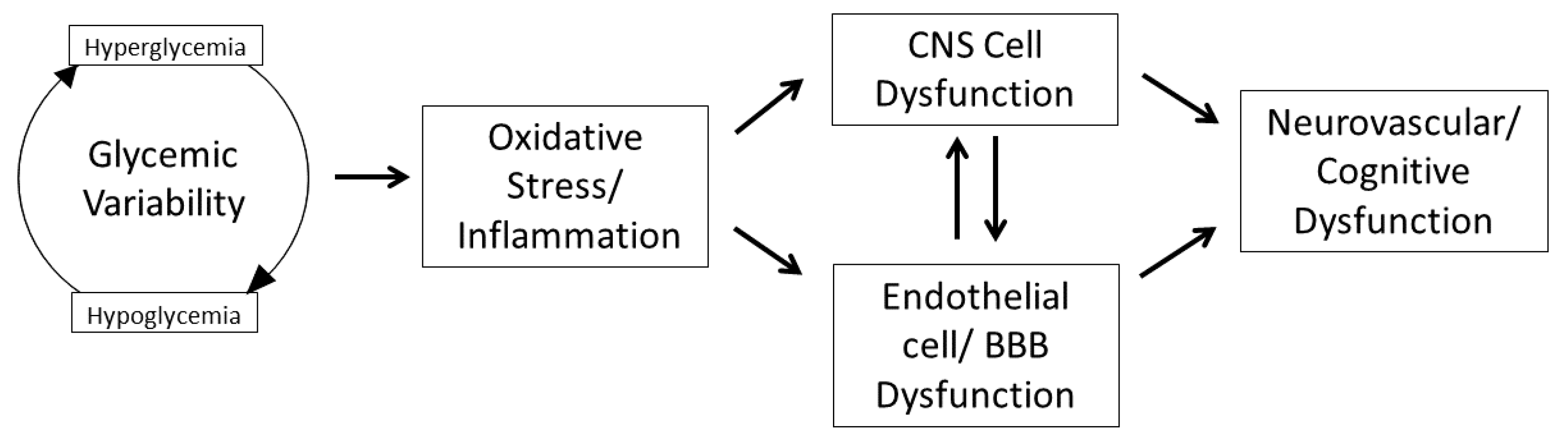 Nutrients 12 03906 g001
