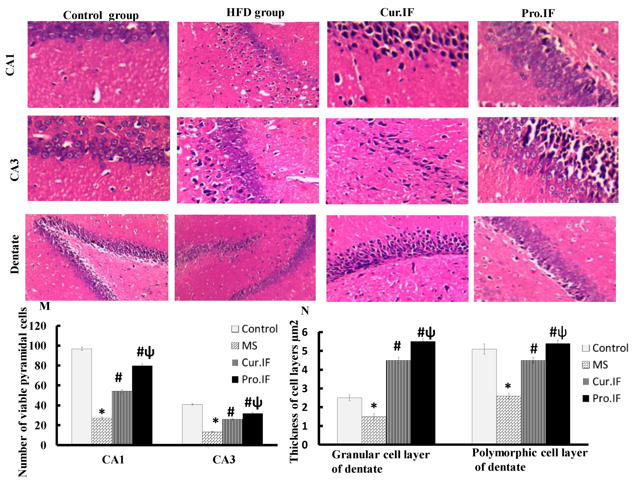 Nutrients 13 00010 g006 Nutrients 13 00010 g006