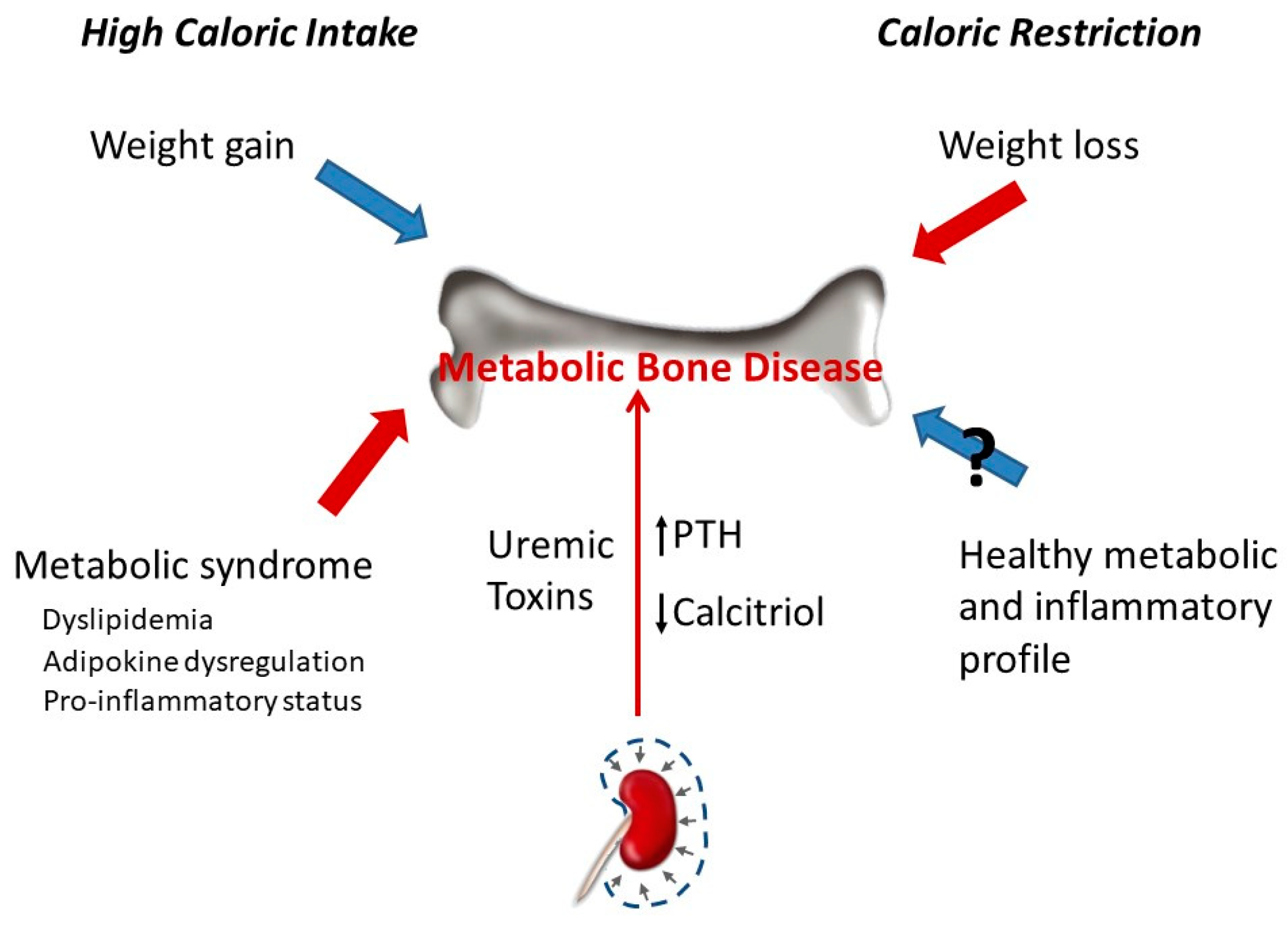 Nutrients 13 00018 g004