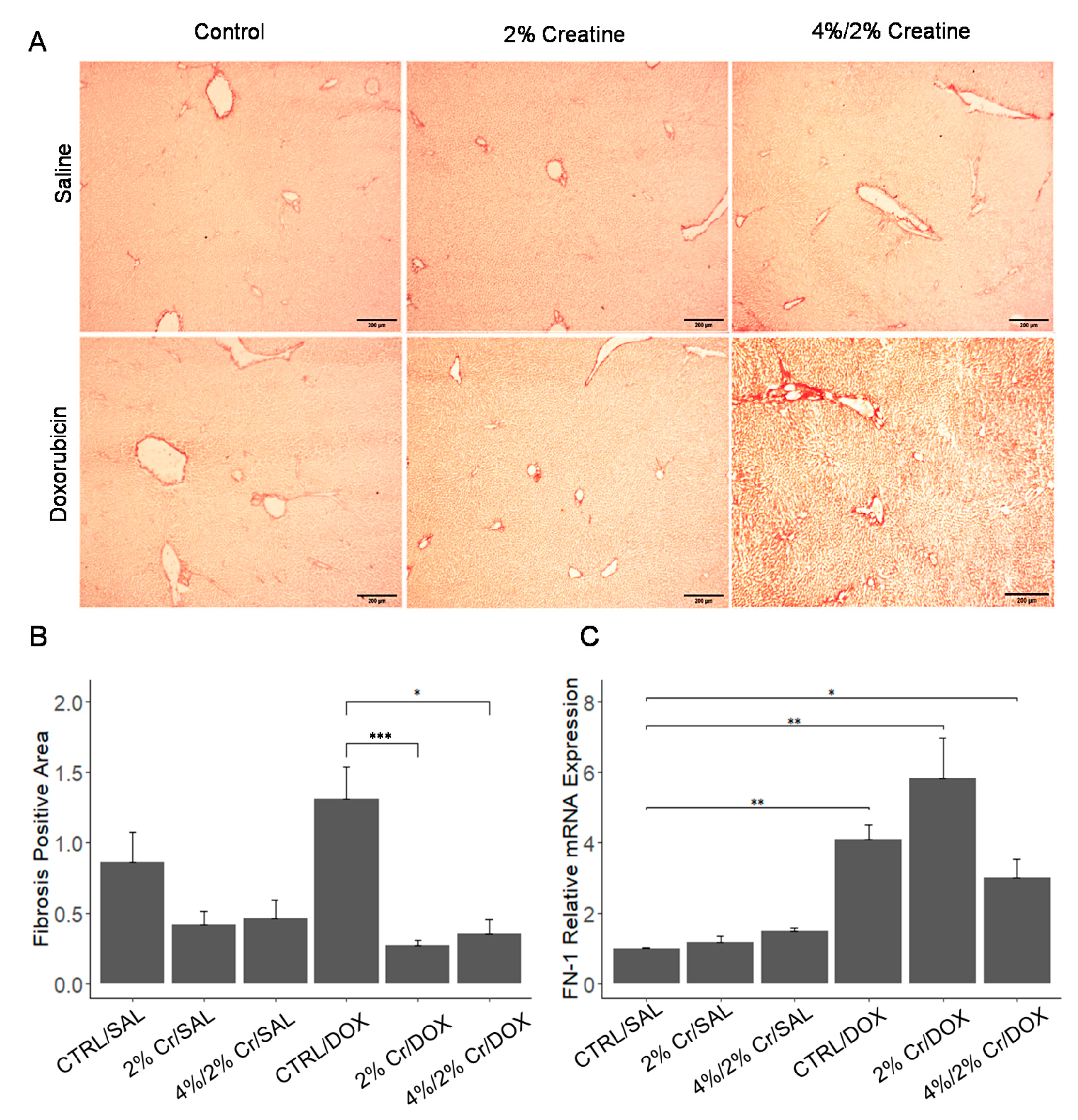 Nutrients 13 00041 g002 Nutrients 13 00041 g002