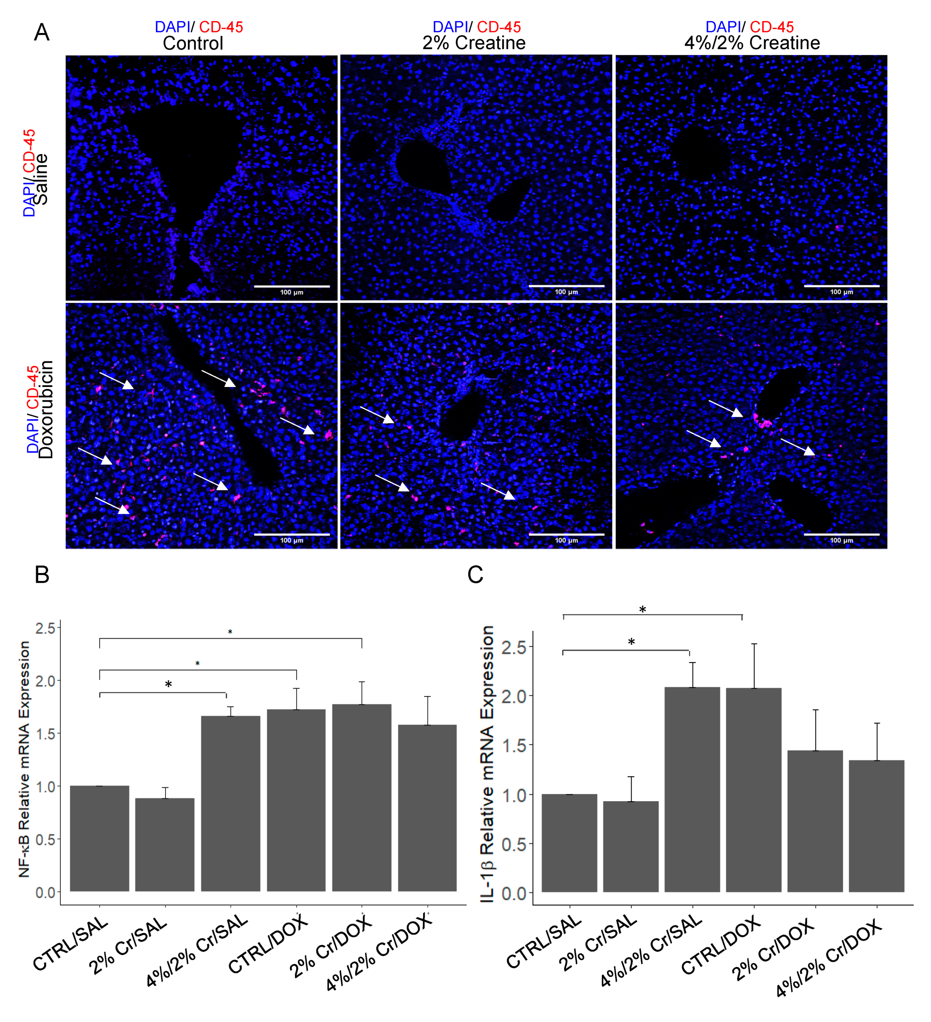 Nutrients 13 00041 g003 Nutrients 13 00041 g003