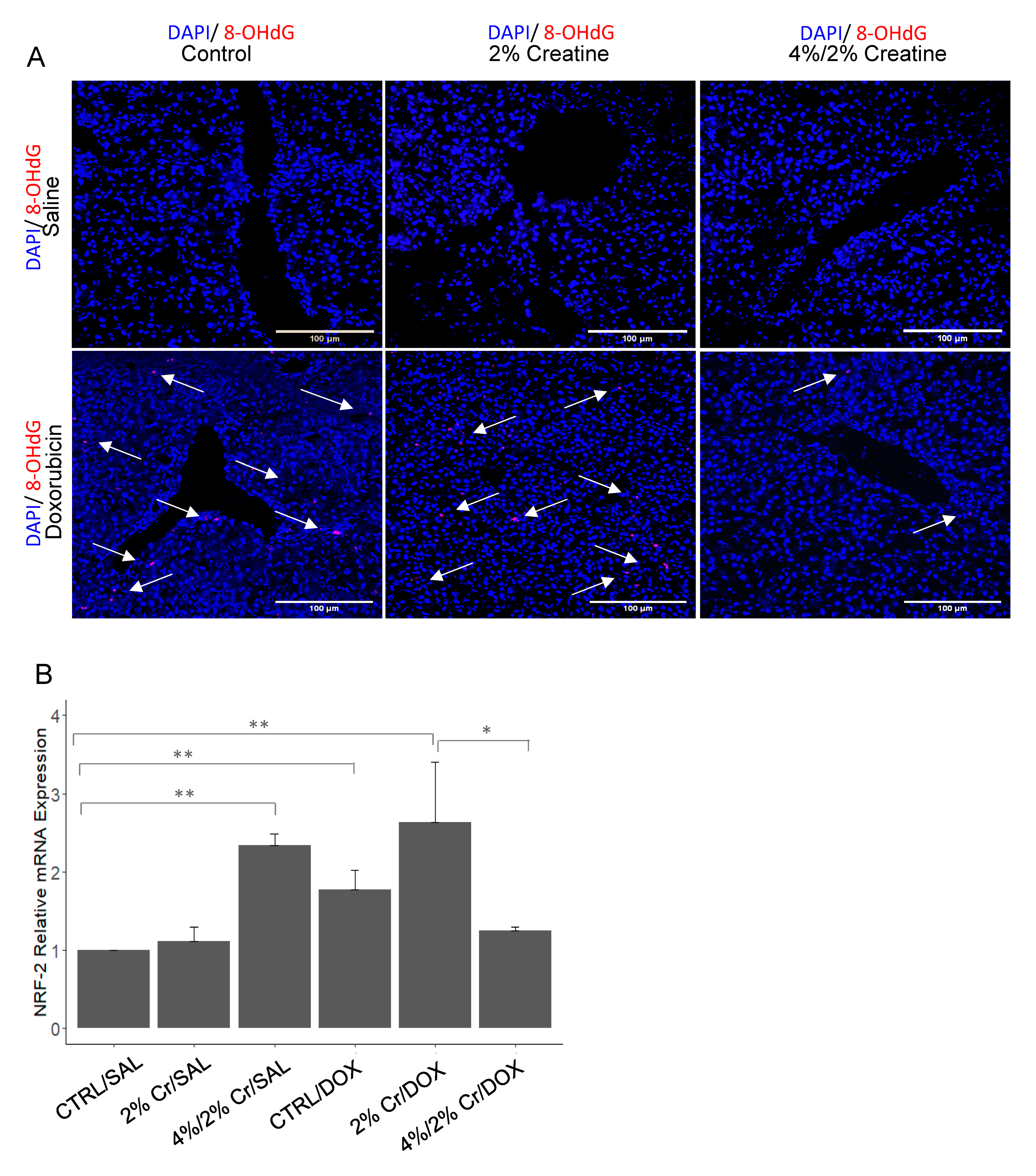 Nutrients 13 00041 g004 Nutrients 13 00041 g004