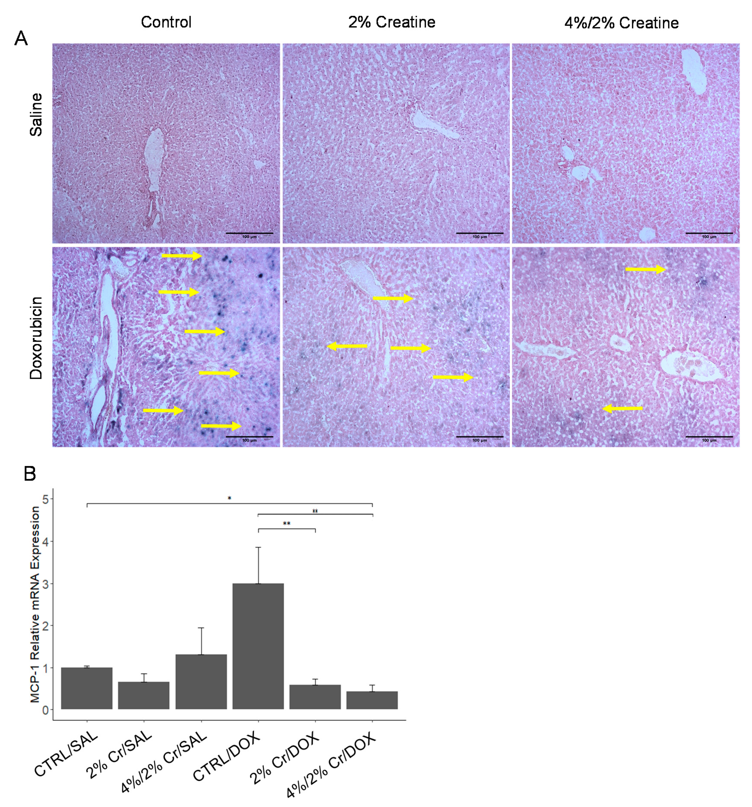 Nutrients 13 00041 g005 Nutrients 13 00041 g005