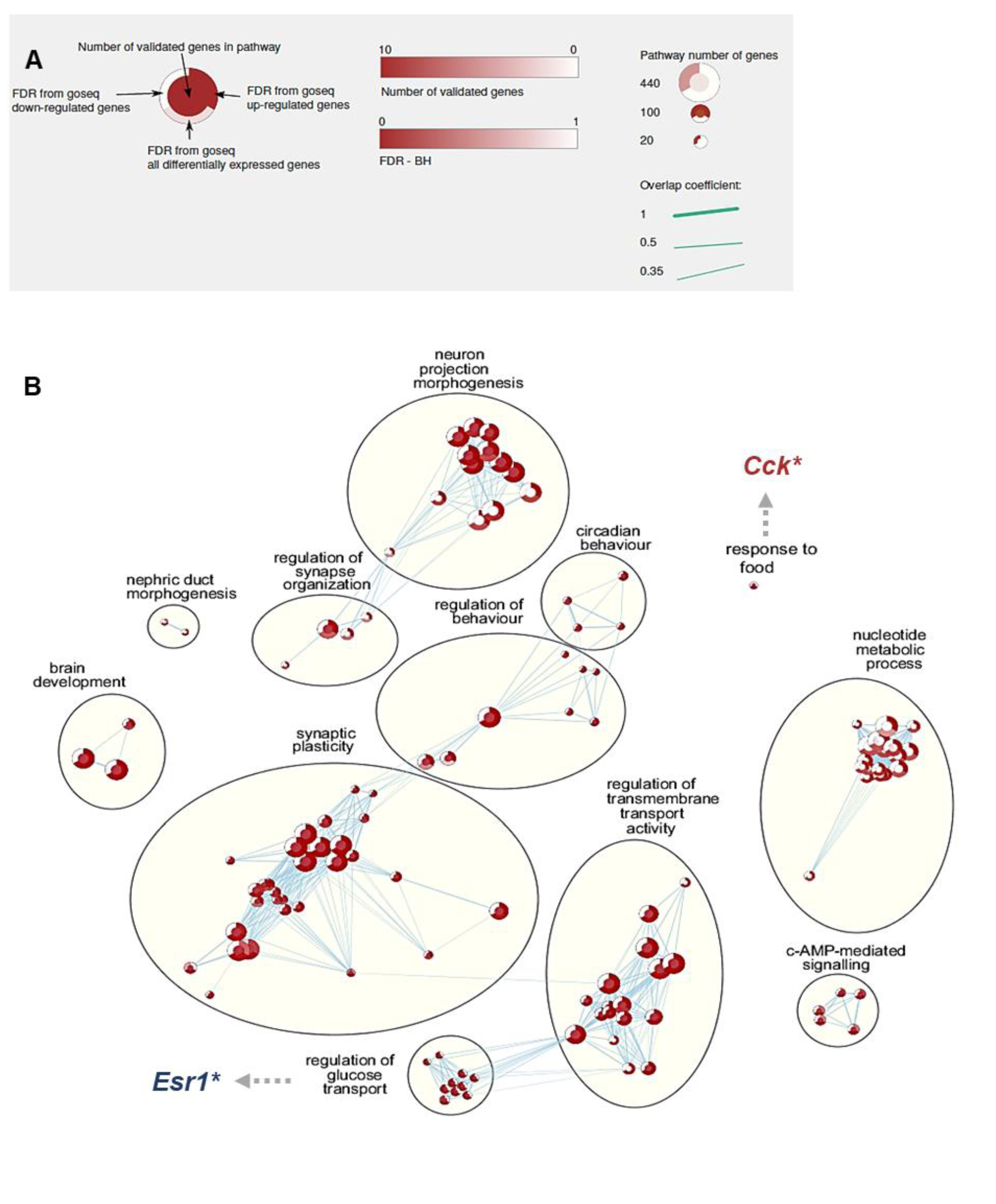Nutrients 13 00048 g003a Nutrients 13 00048 g003a