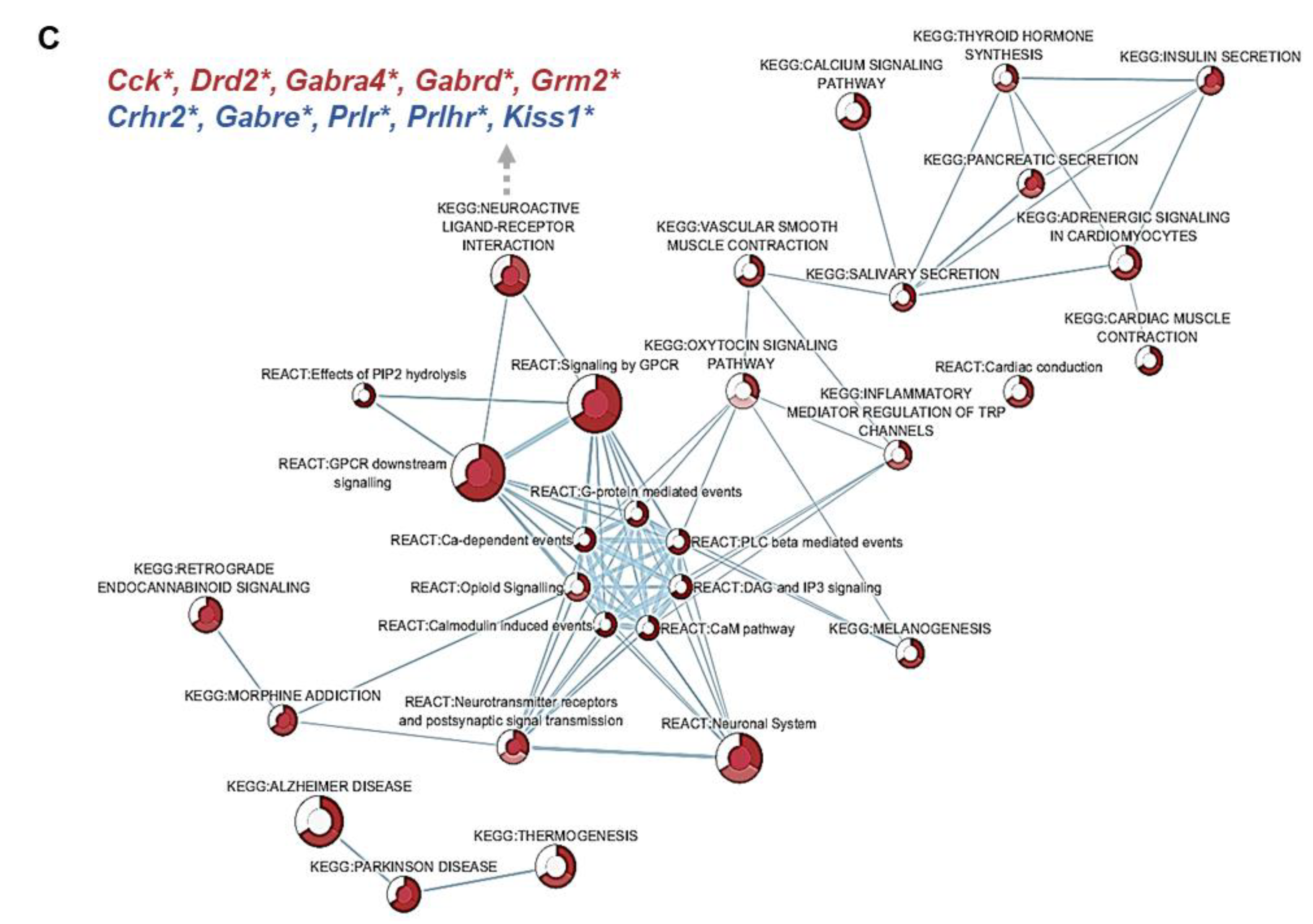Nutrients 13 00048 g003b Nutrients 13 00048 g003b