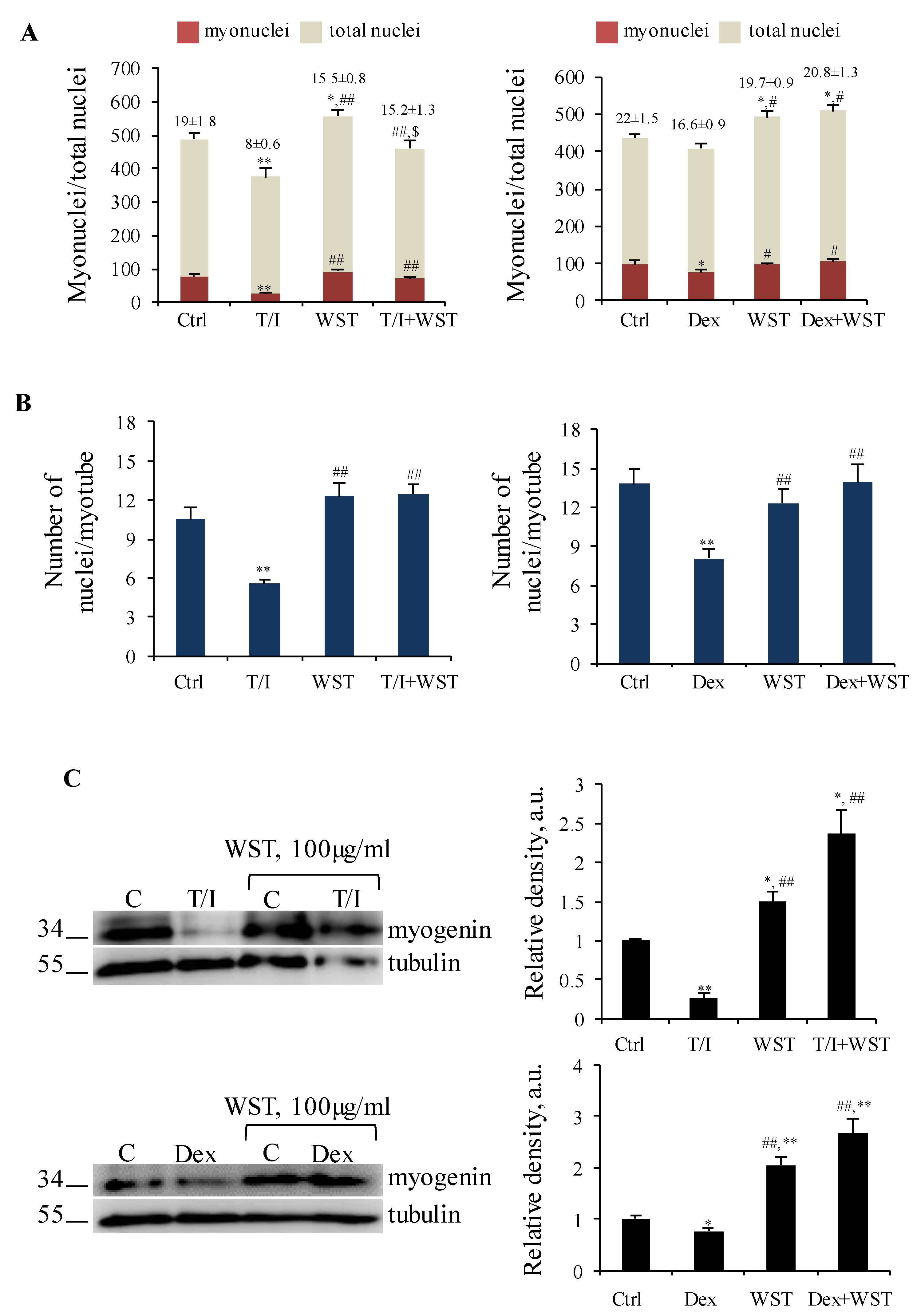 Nutrients 13 00049 g005