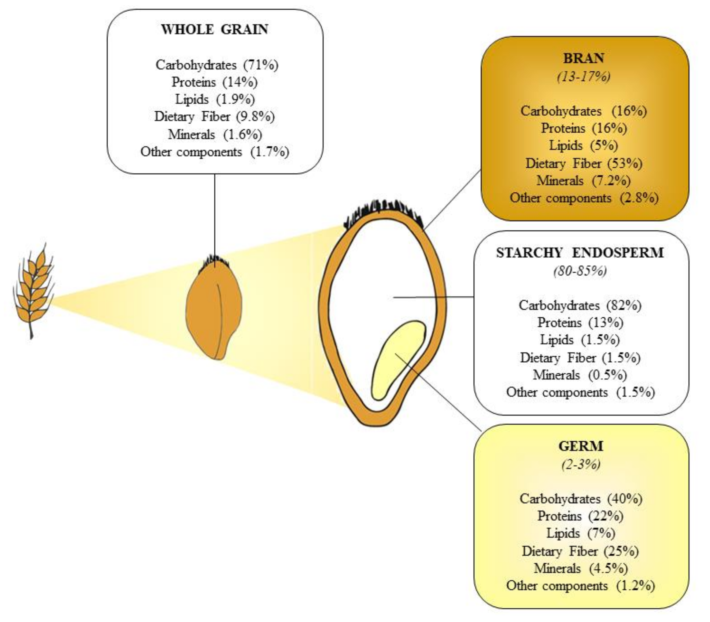 Nutrients Free Full Text The Impact Of Whole Grain Intake On Gastrointestinal Tumors A Focus On Colorectal Gastric And Esophageal Cancers Html