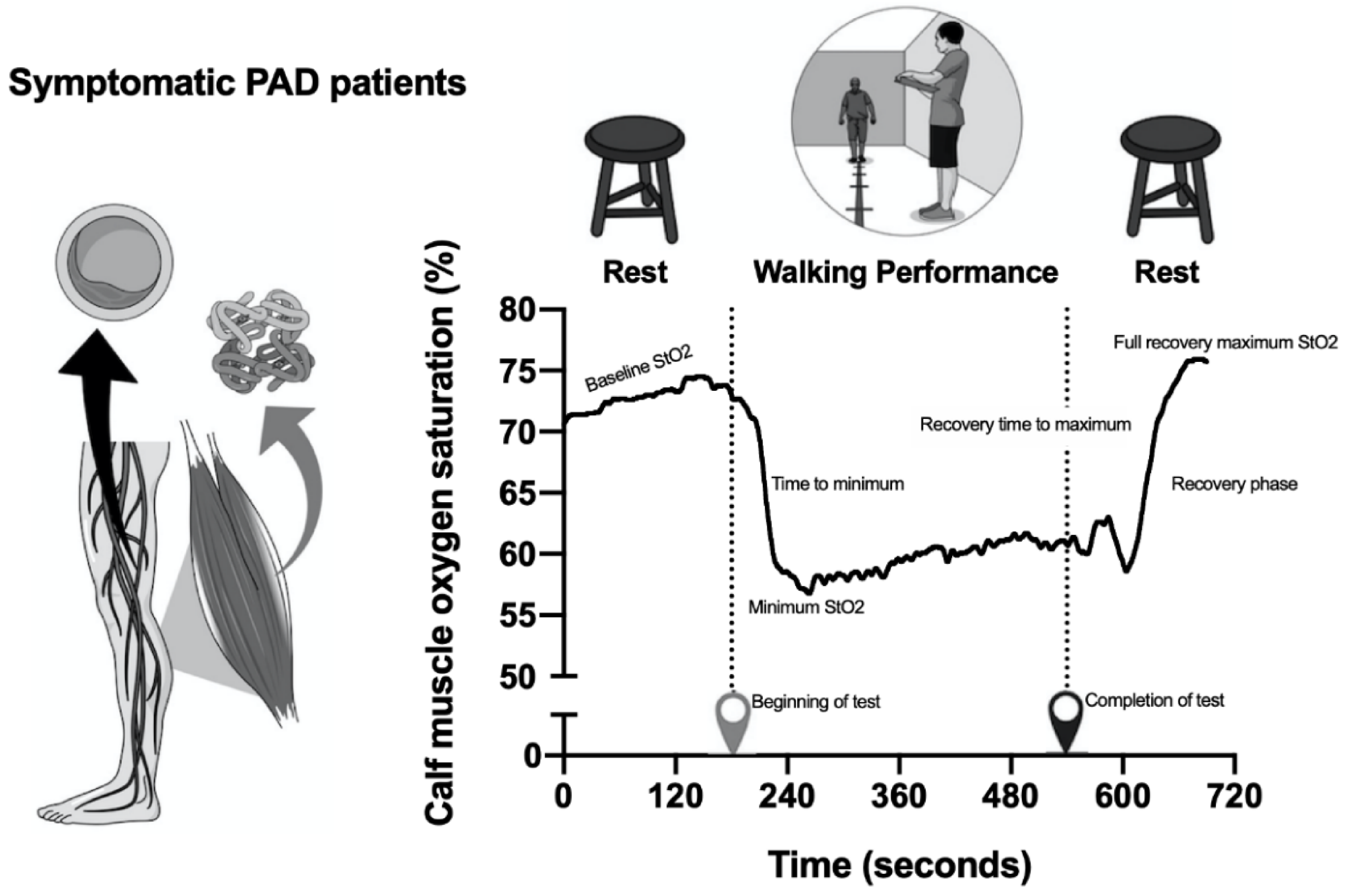Nutrients 13 00149 g001 Nutrients 13 00149 g001
