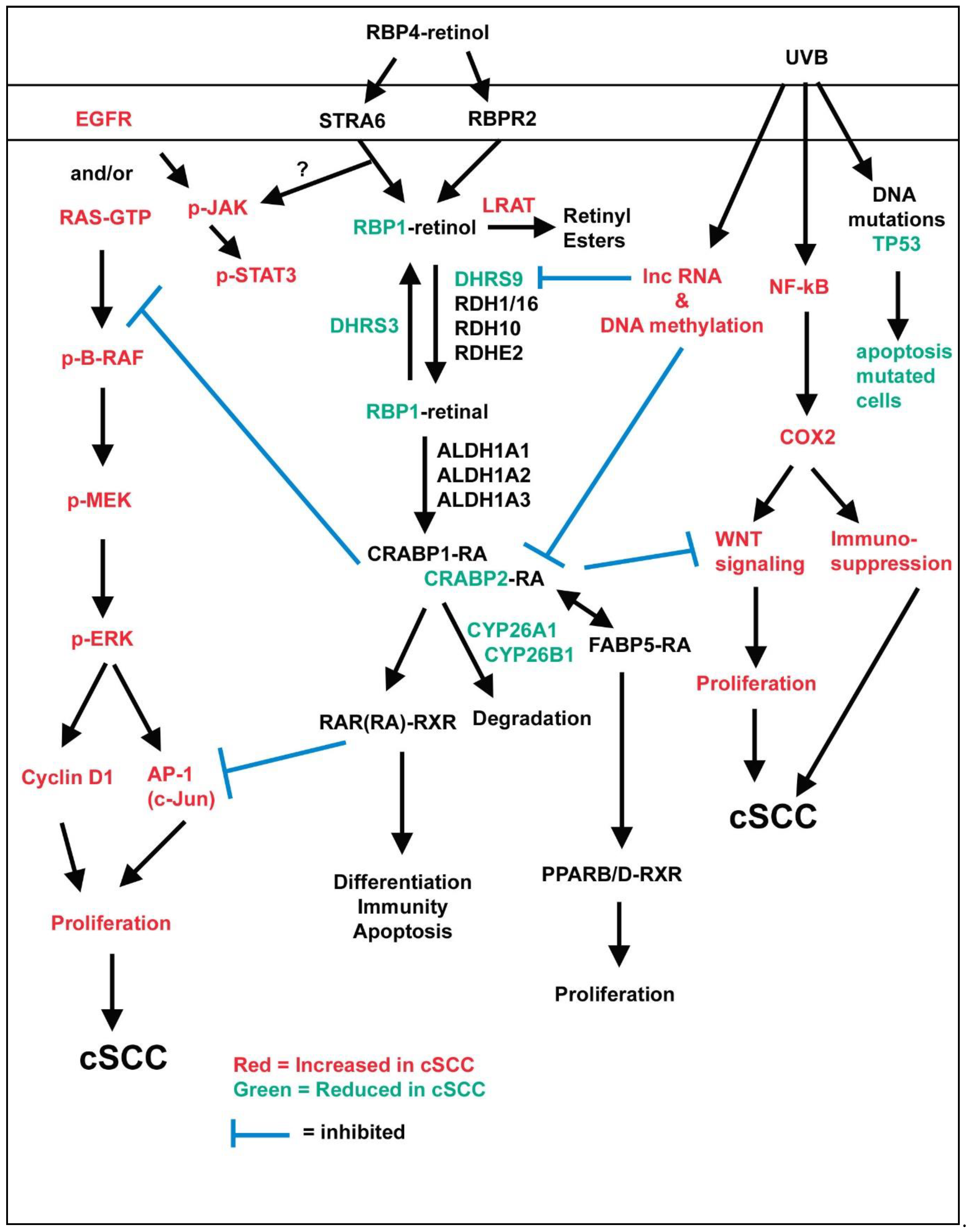 Nutrients 13 00153 g001