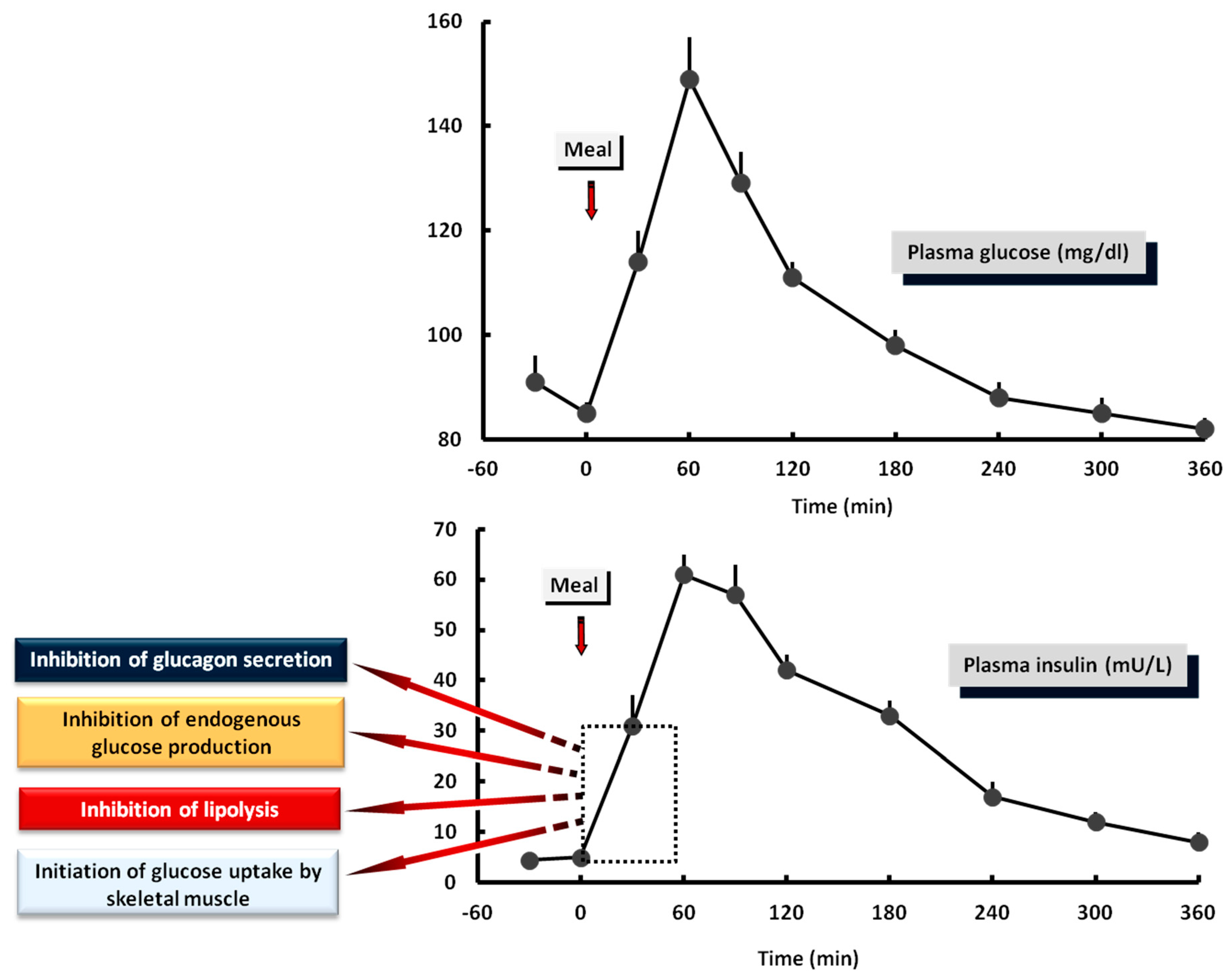 Nutrients 13 00159 g004