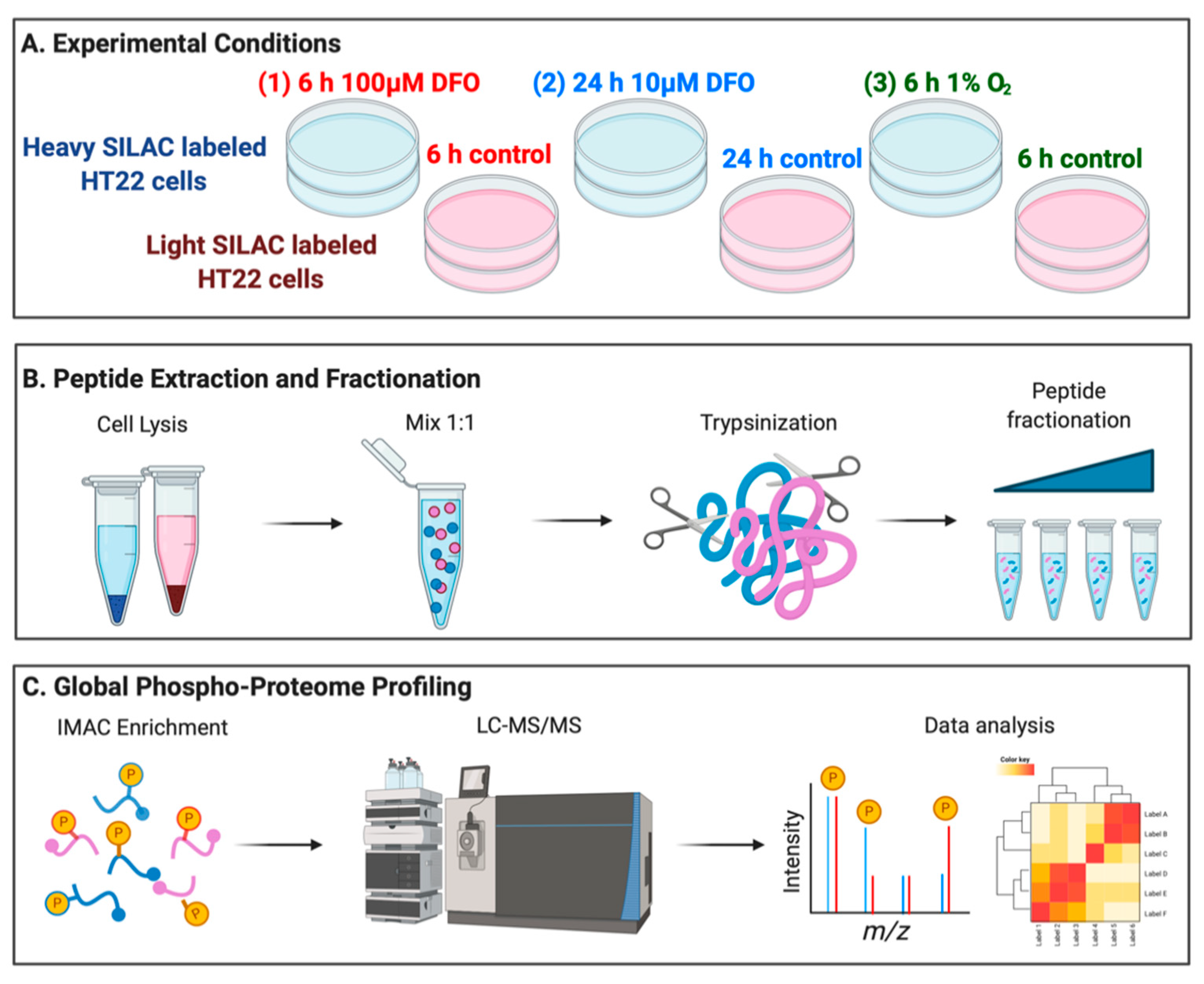 Nutrients 13 00179 g002