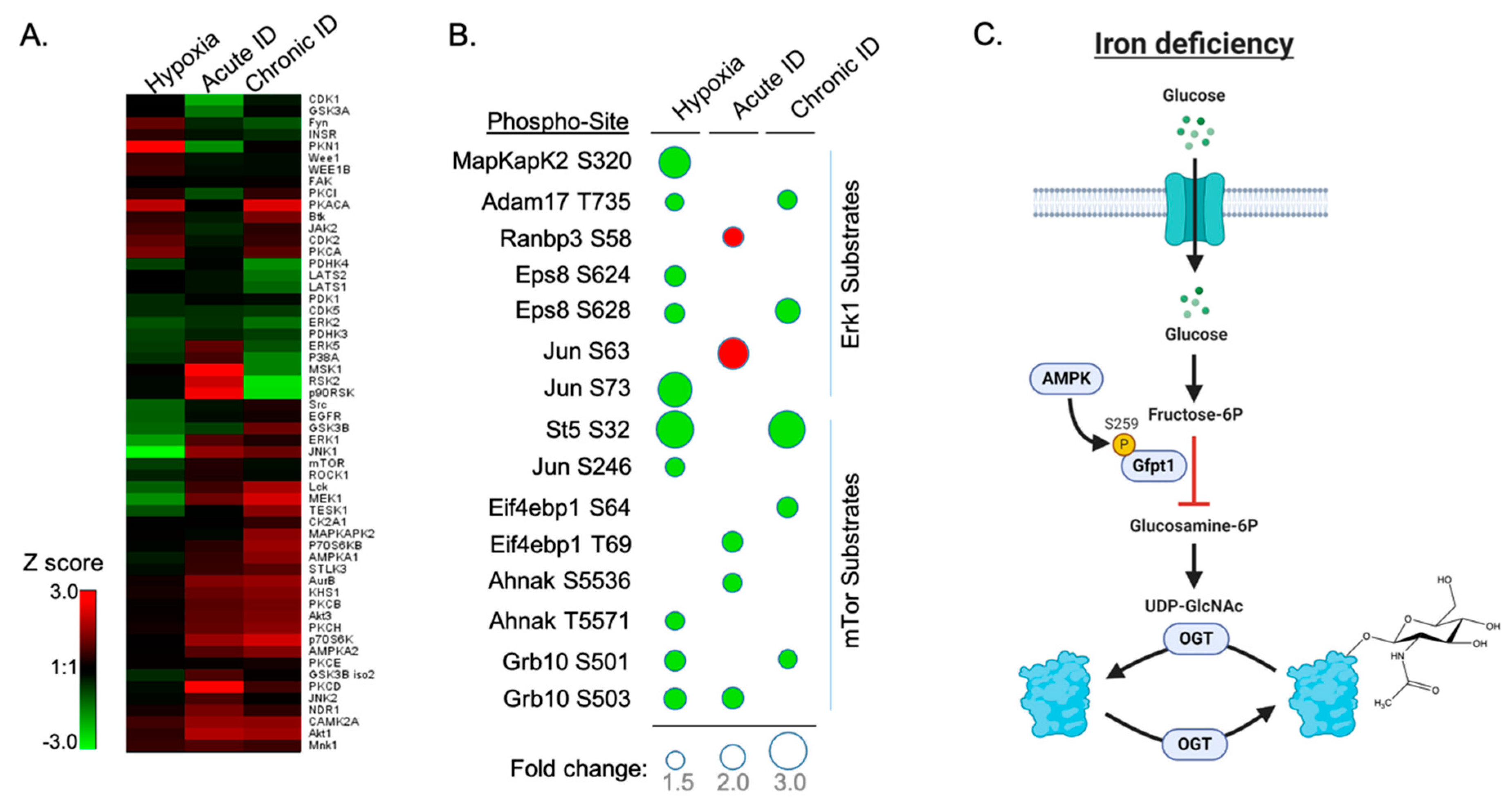 Nutrients 13 00179 g005
