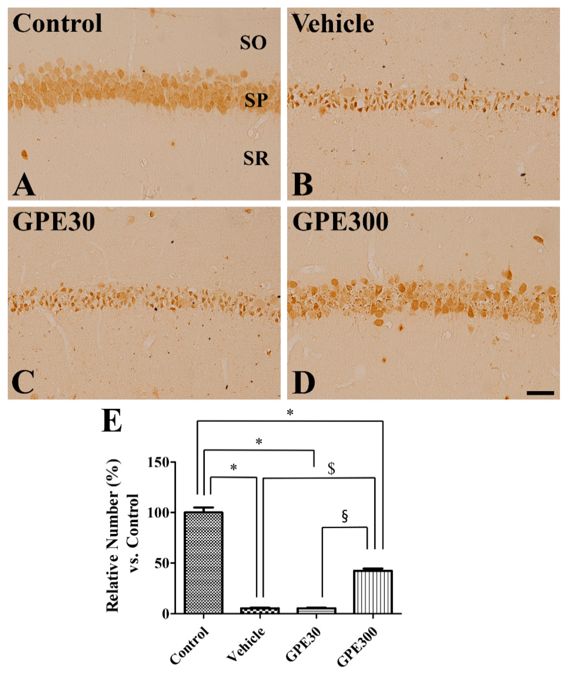 Nutrients 13 00181 g003 Nutrients 13 00181 g003