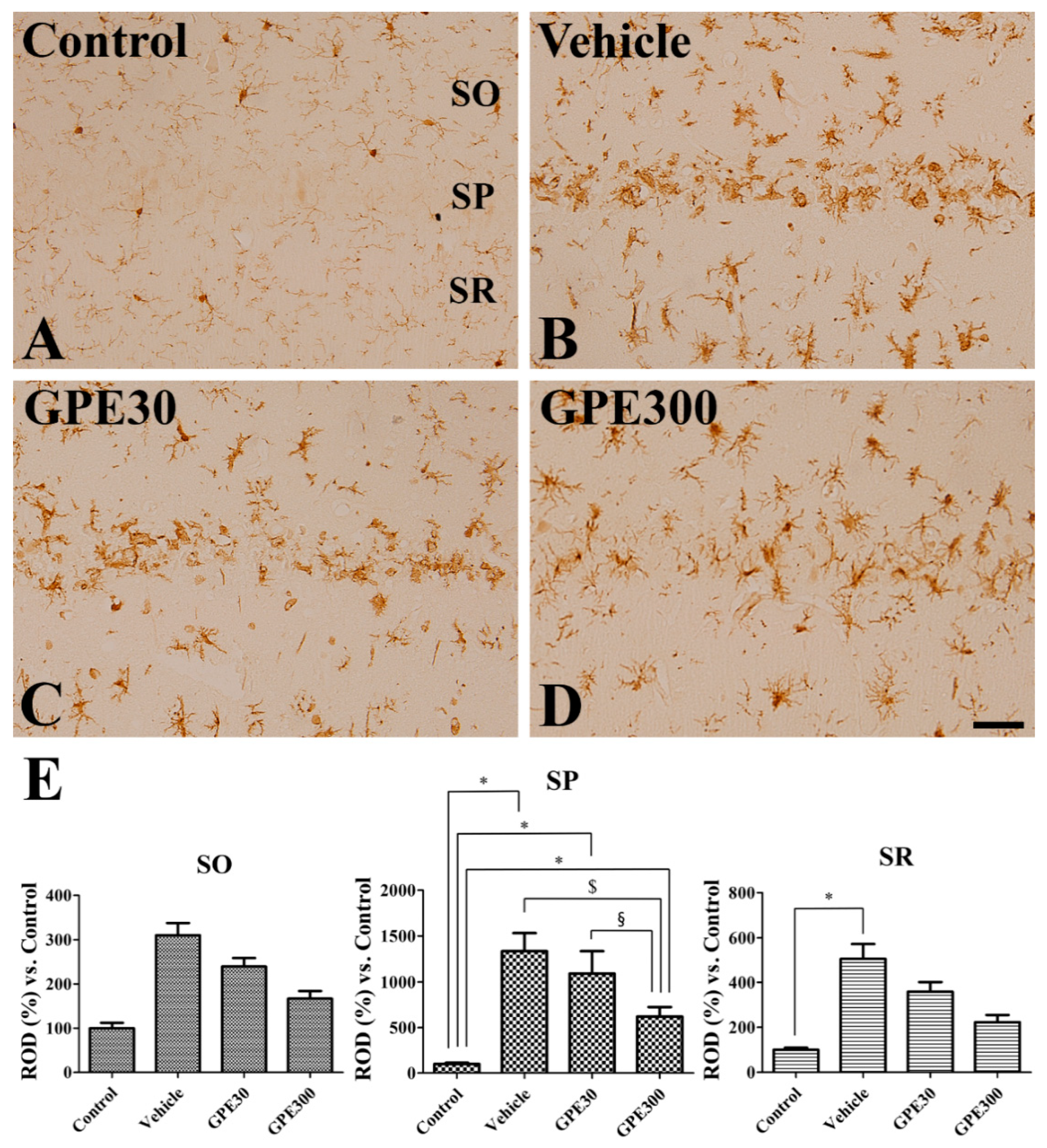 Nutrients 13 00181 g004 Nutrients 13 00181 g004
