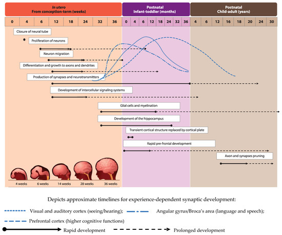 Nutrients 13 00199 g001 550