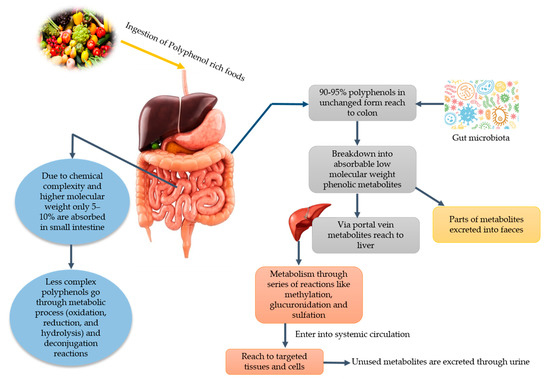 Nutrients 13 00206 g001 550