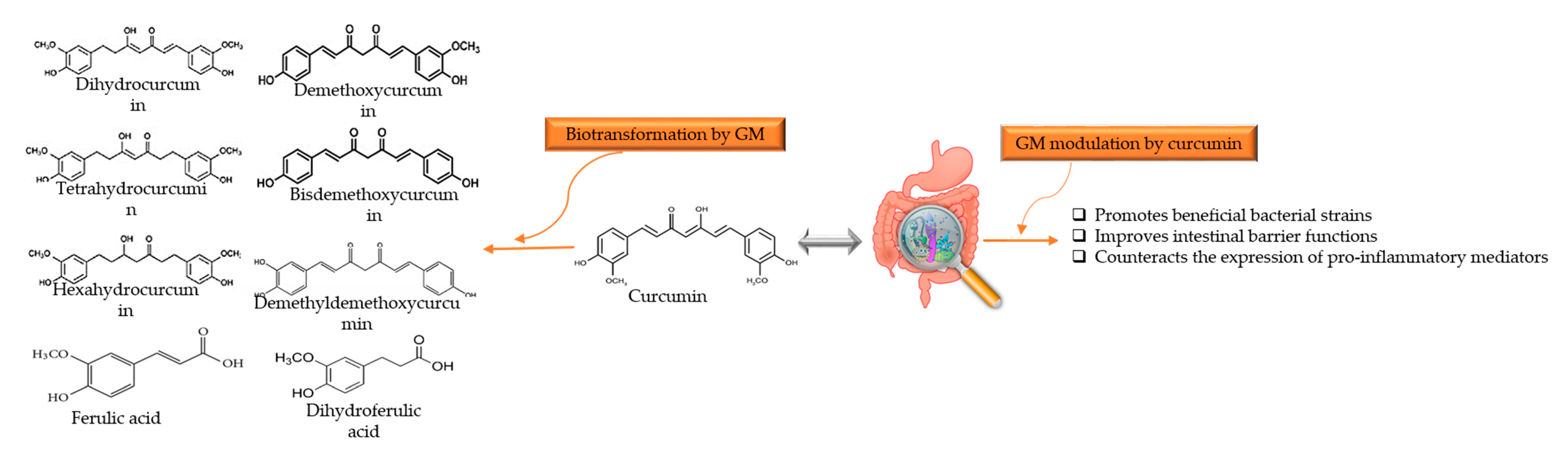 Nutrients 13 00206 g003 Nutrients 13 00206 g003