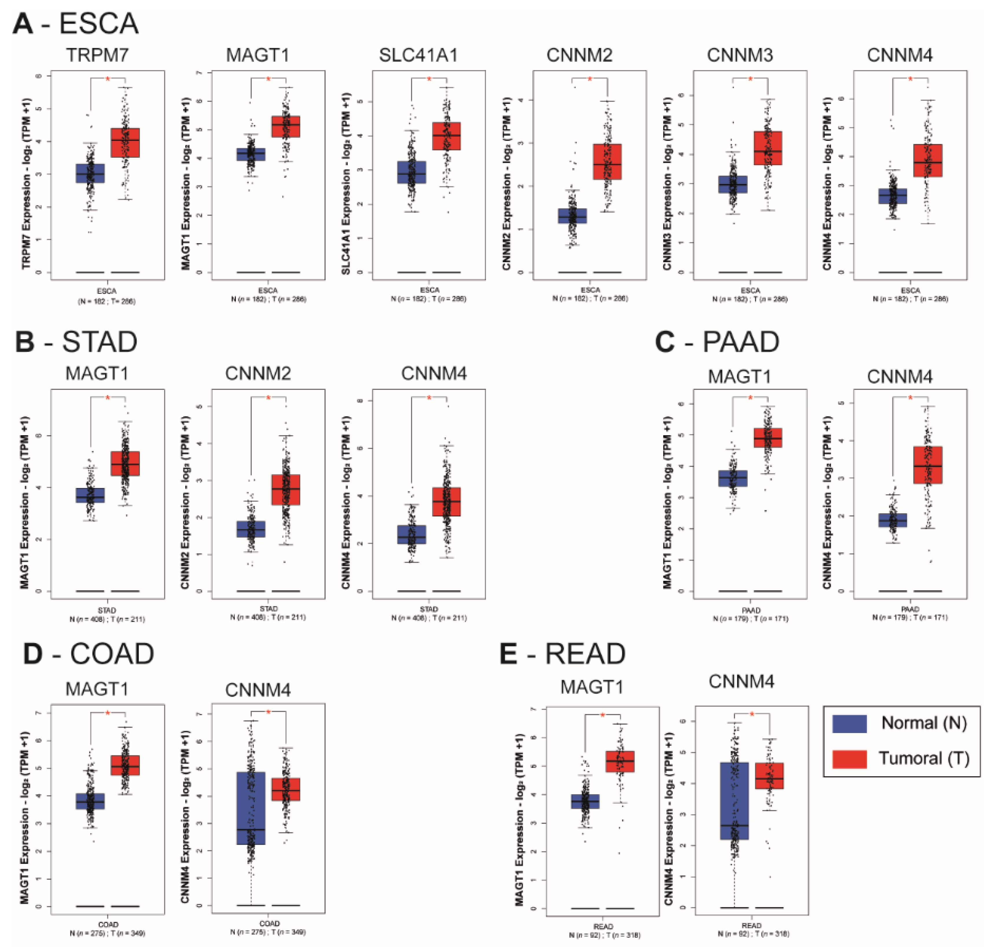 Nutrients 13 00210 g003 Nutrients 13 00210 g003