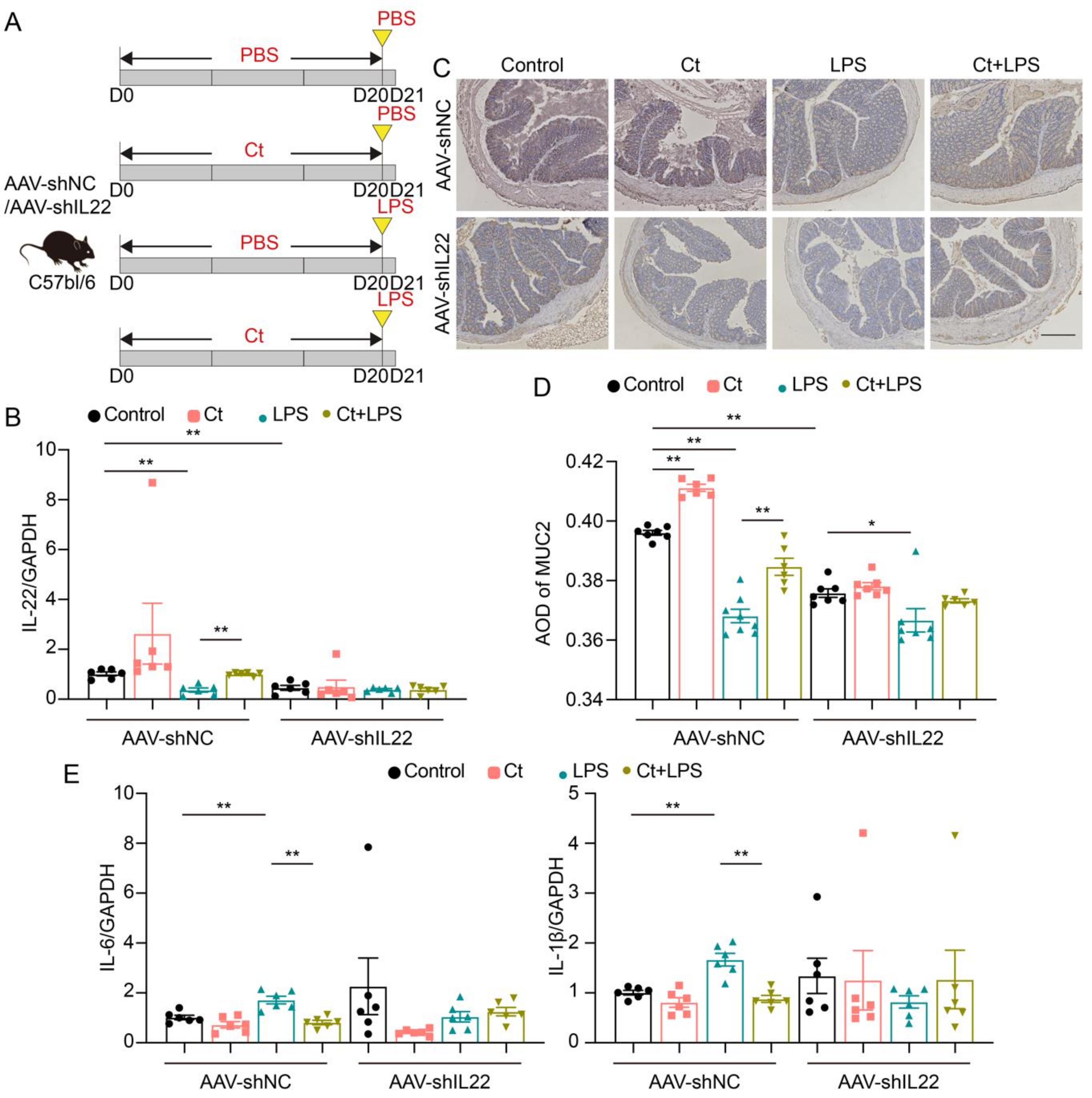 Nutrients 13 00215 g005 Nutrients 13 00215 g005