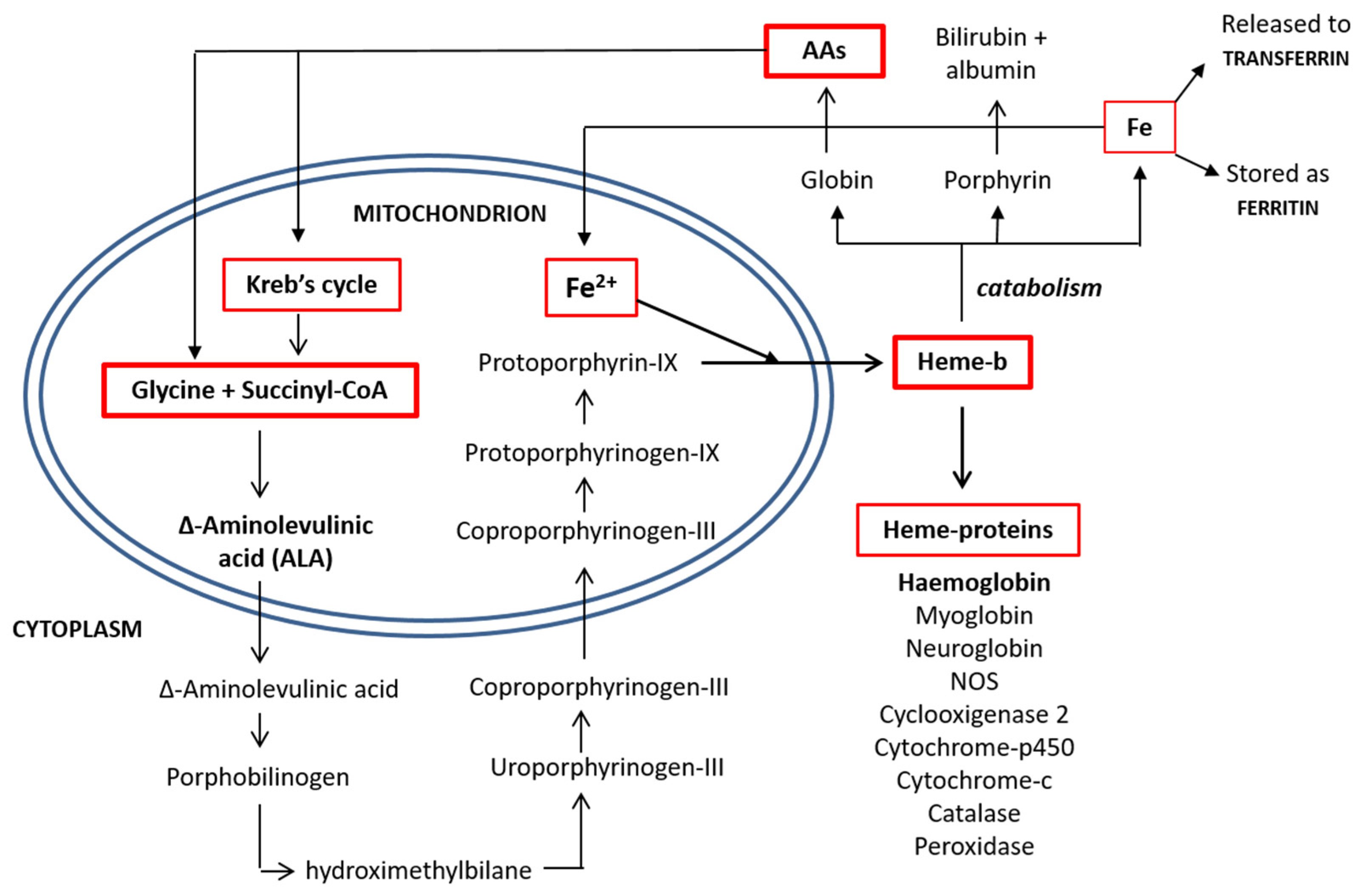 Nutrients 13 00237 g002