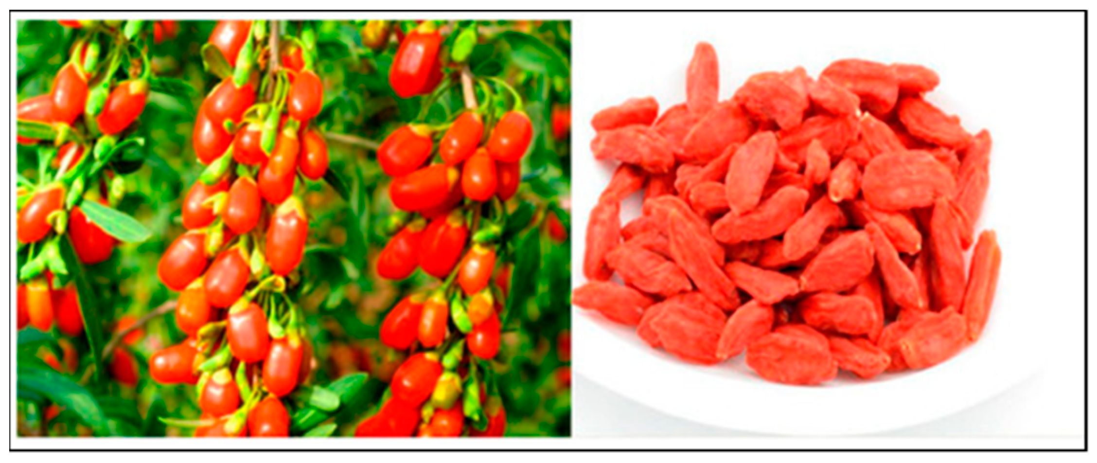 Nutrients 13 00246 g001 Nutrients 13 00246 g001