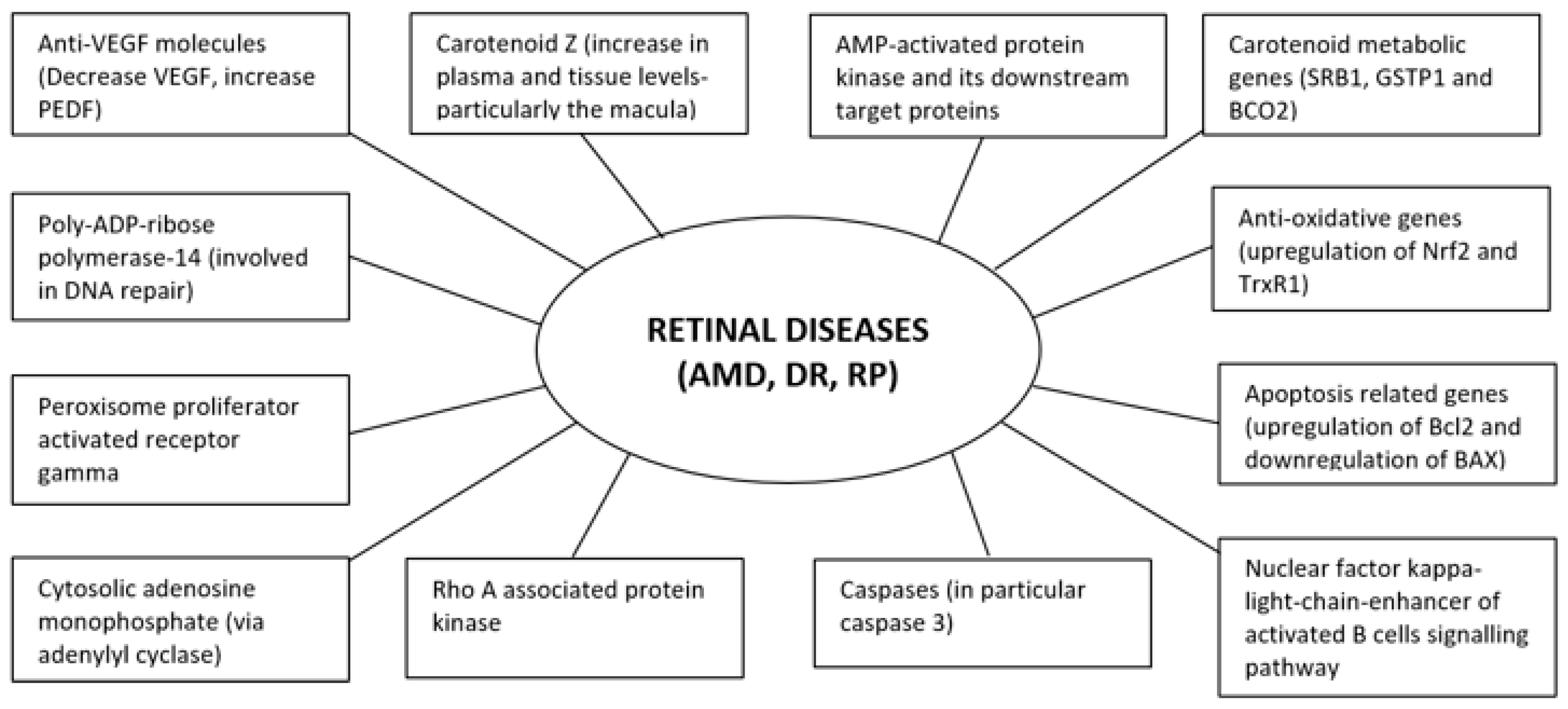Nutrients 13 00246 g003 Nutrients 13 00246 g003