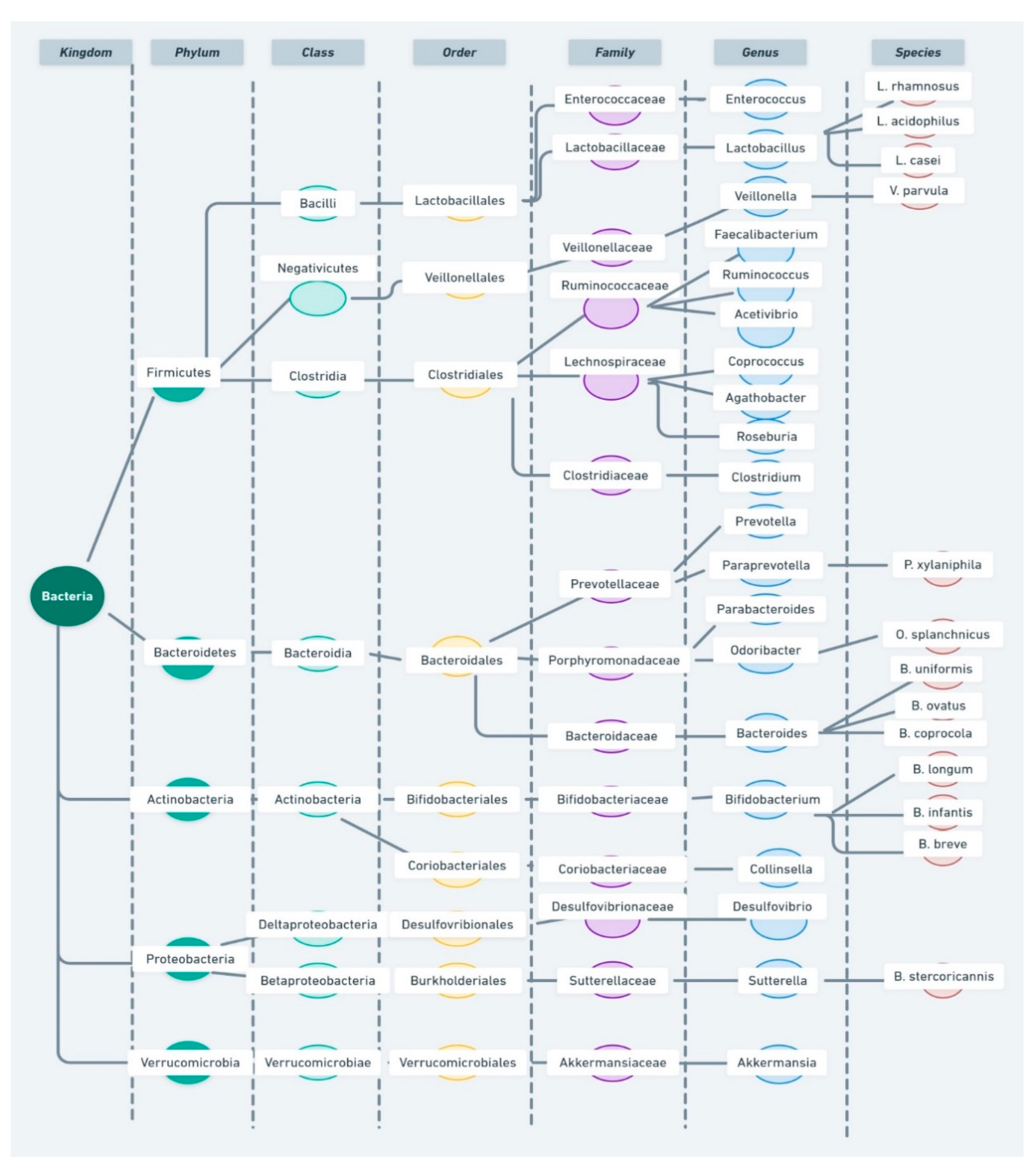 Nutrients 13 00249 g002 Nutrients 13 00249 g002
