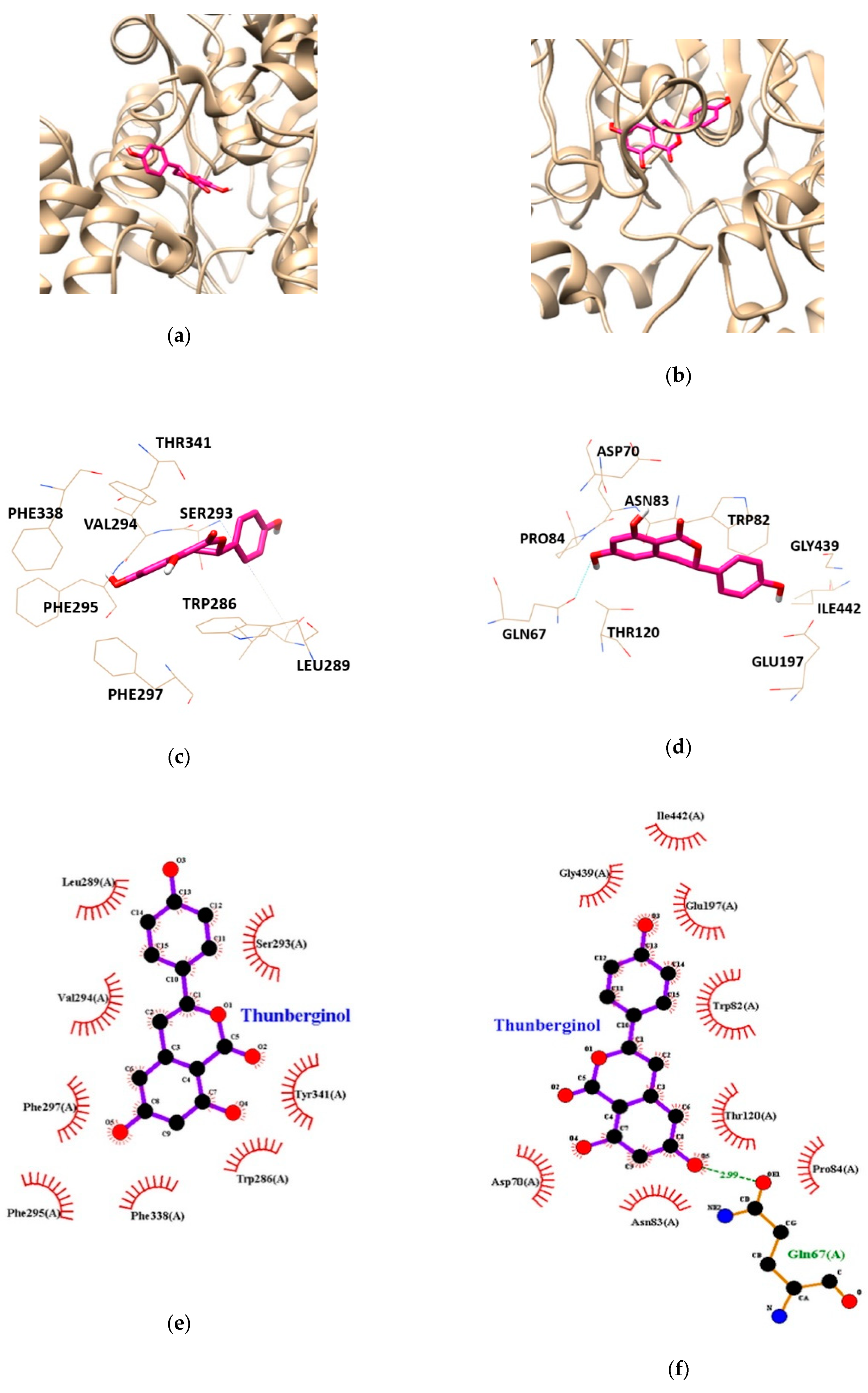 Nutrients 13 00254 g004 Nutrients 13 00254 g004