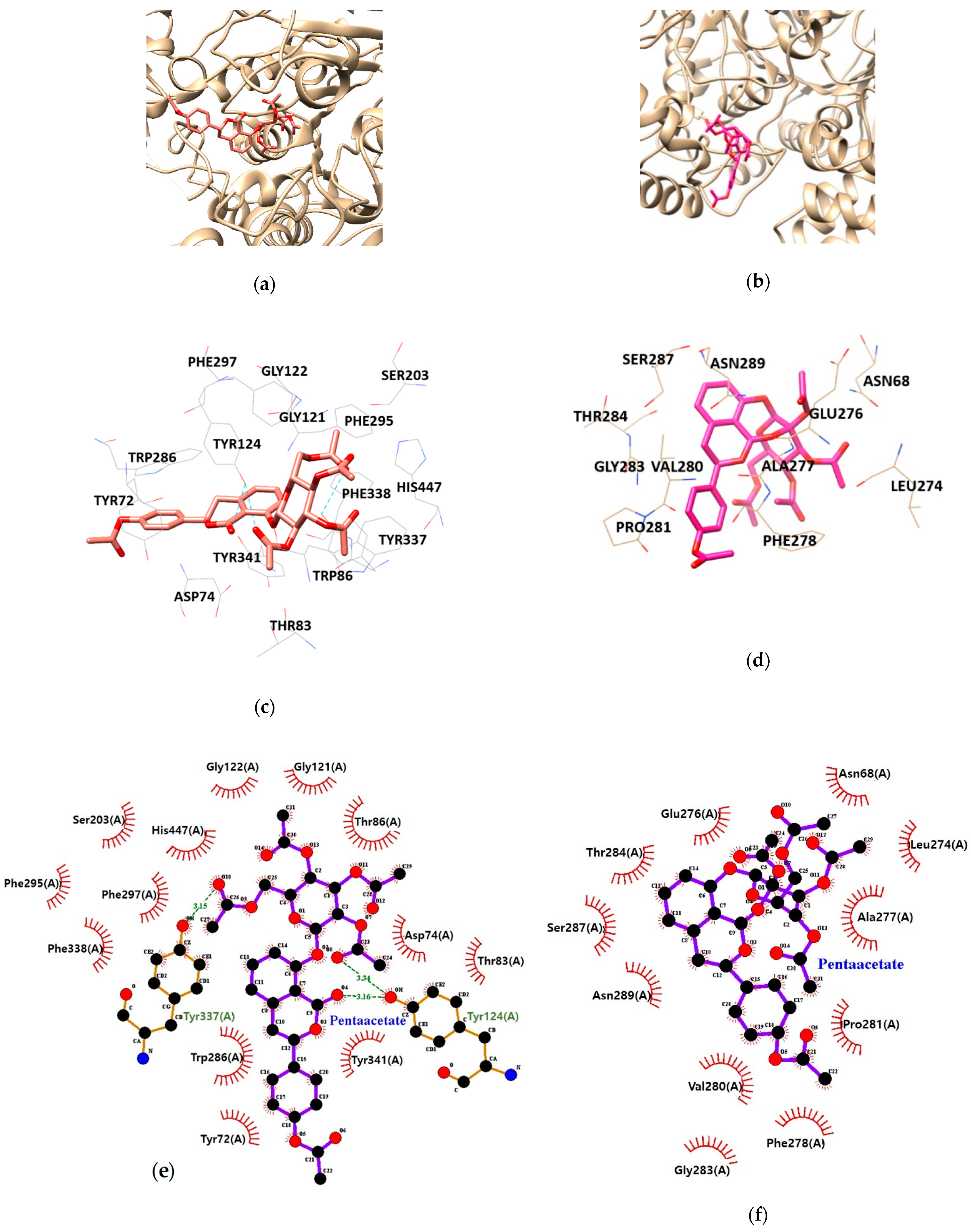 Nutrients 13 00254 g005 Nutrients 13 00254 g005