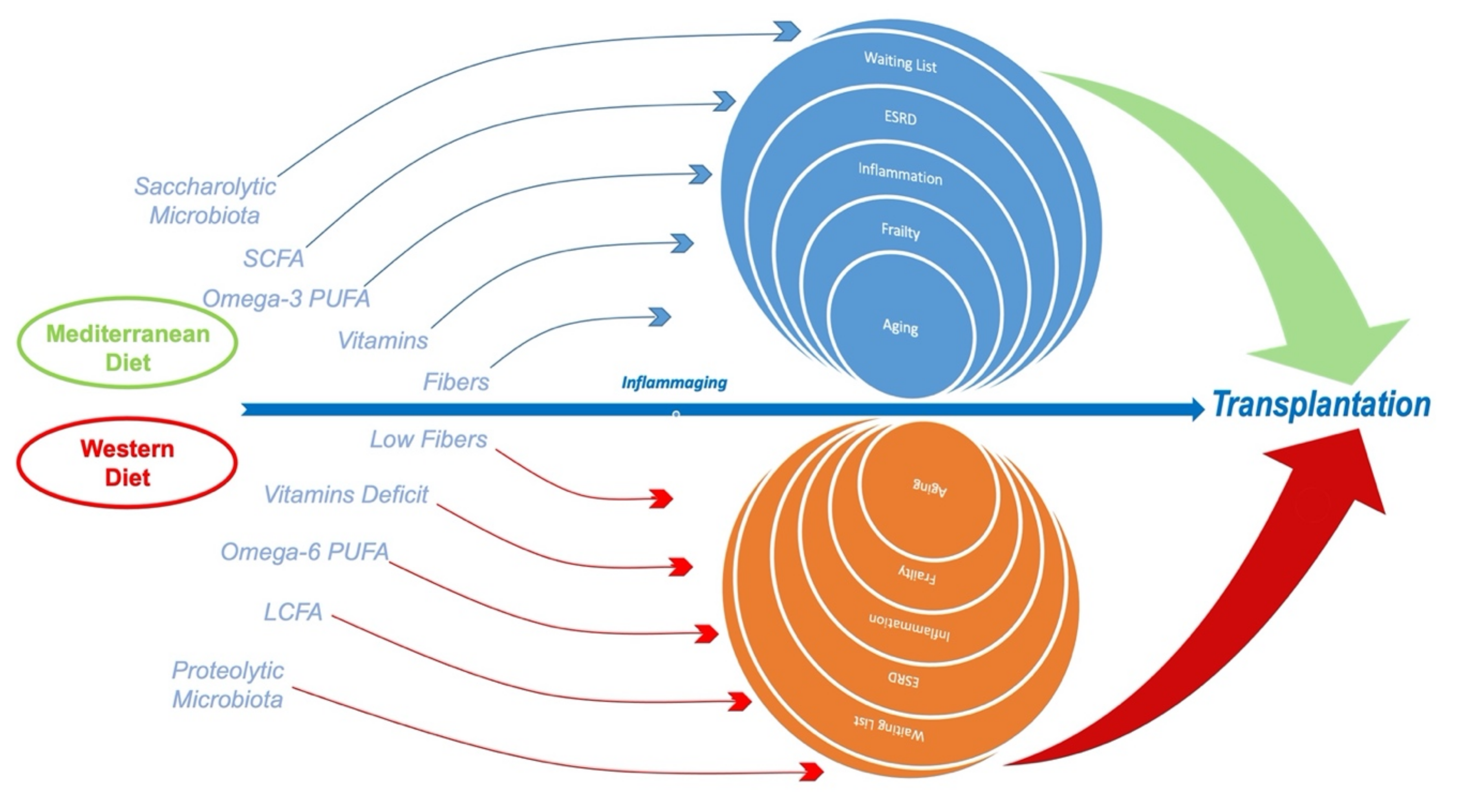 Nutrients 13 00267 g001 Nutrients 13 00267 g001