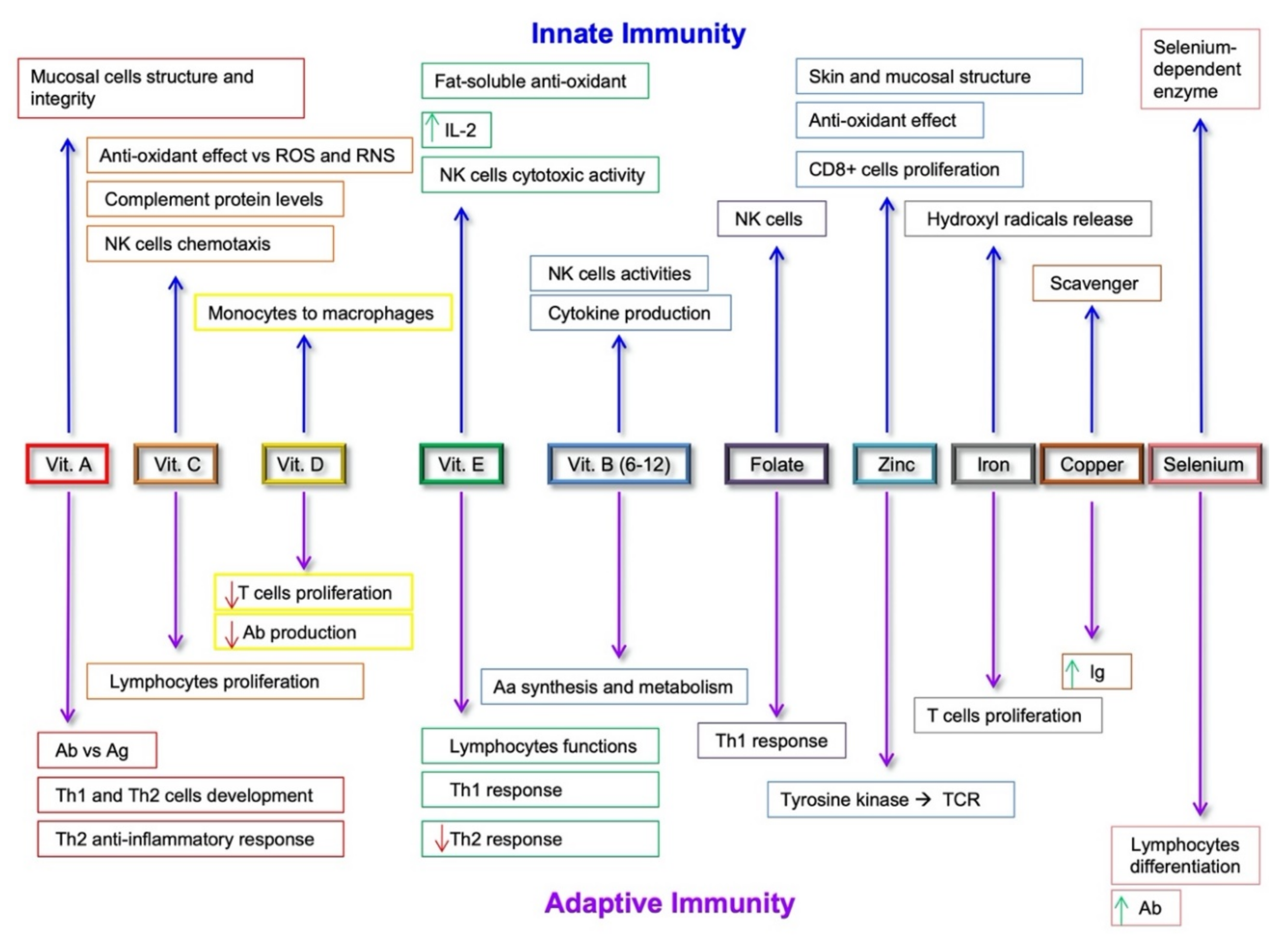 Nutrients 13 00267 g002 Nutrients 13 00267 g002