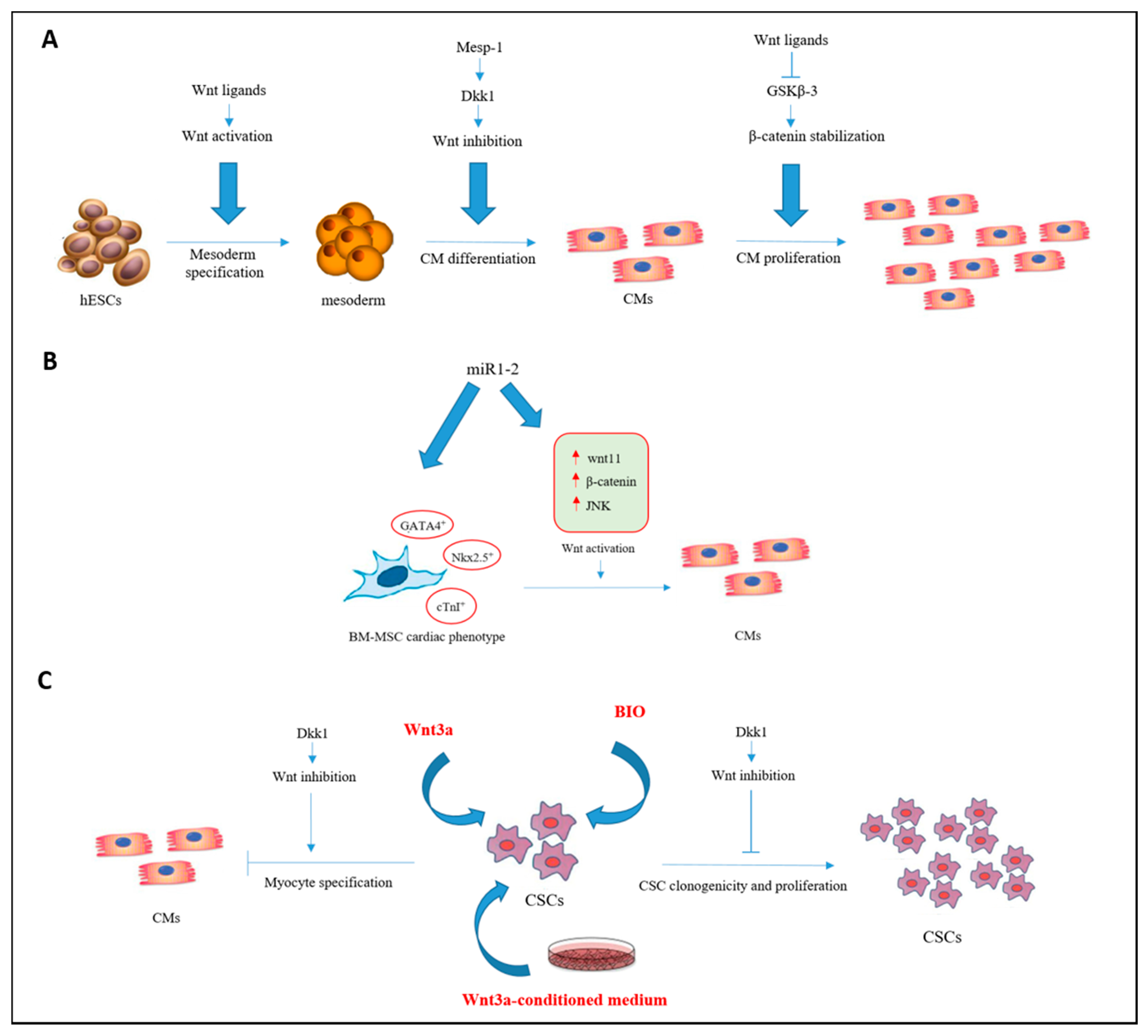 Nutrients 13 00275 g002 Nutrients 13 00275 g002