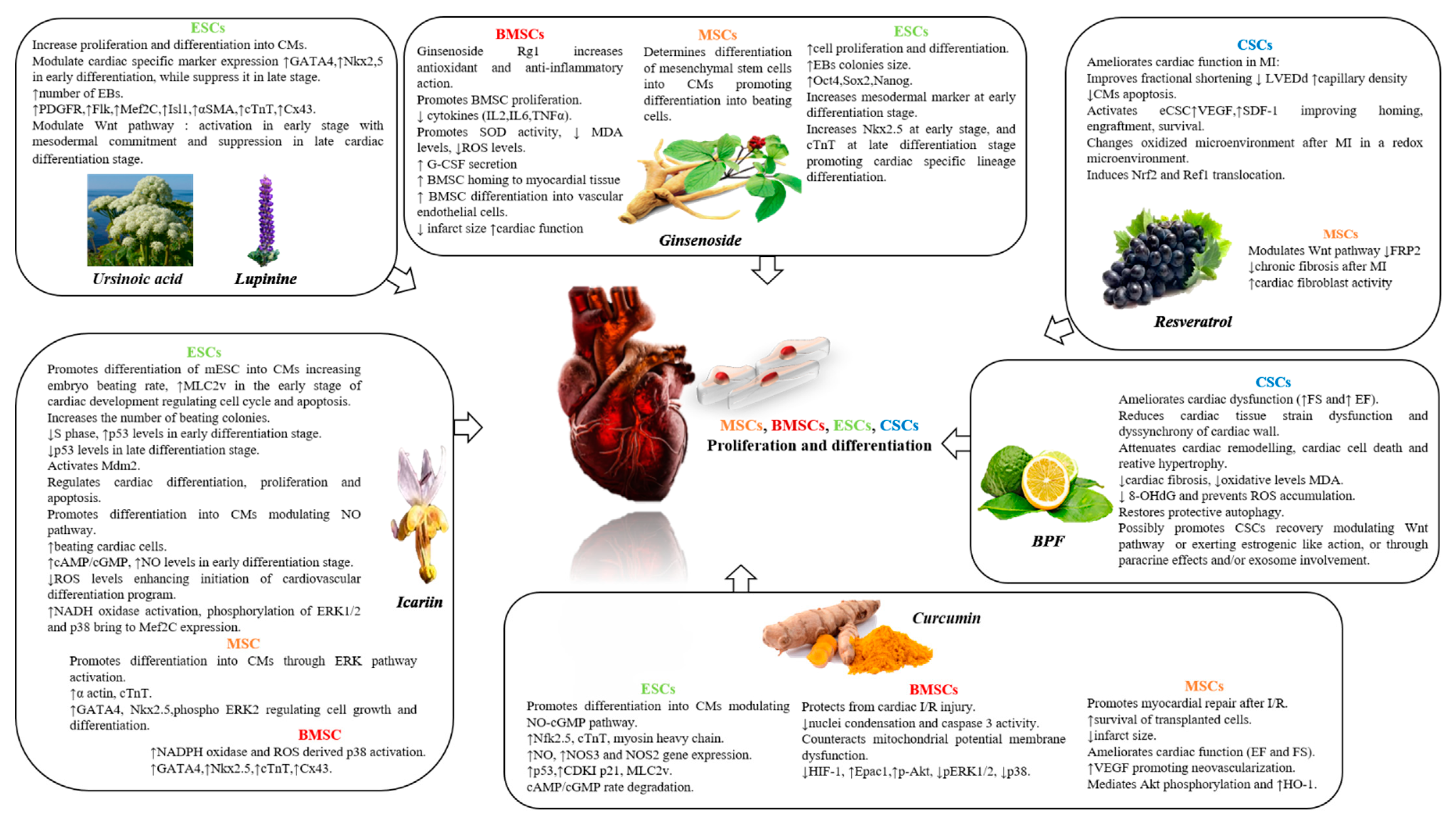Nutrients 13 00275 g003 Nutrients 13 00275 g003