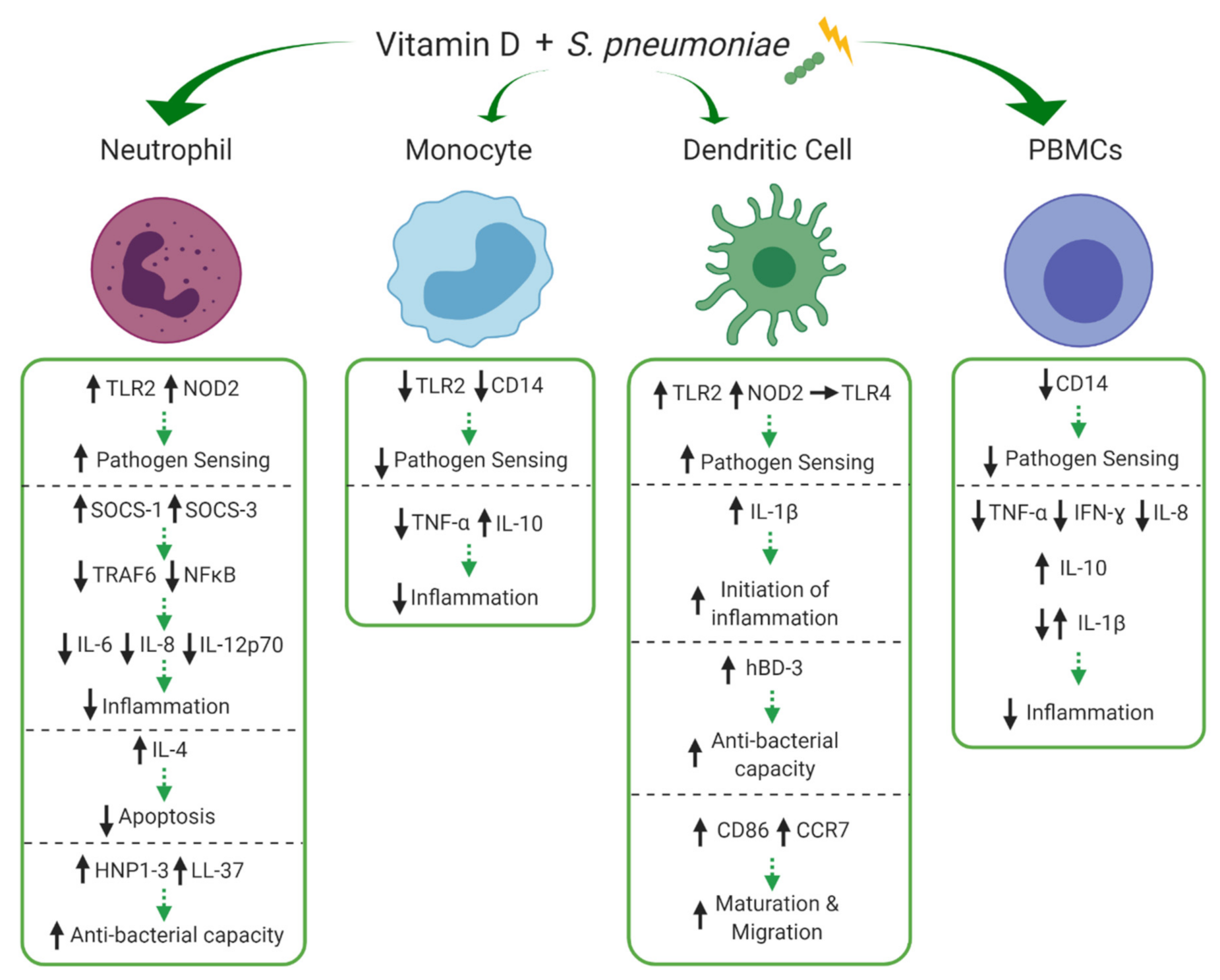 Nutrients 13 00276 g003 Nutrients 13 00276 g003