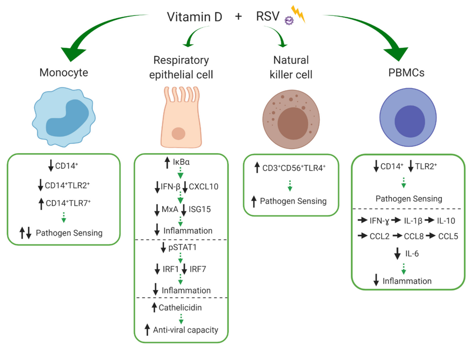 Nutrients 13 00276 g004 Nutrients 13 00276 g004