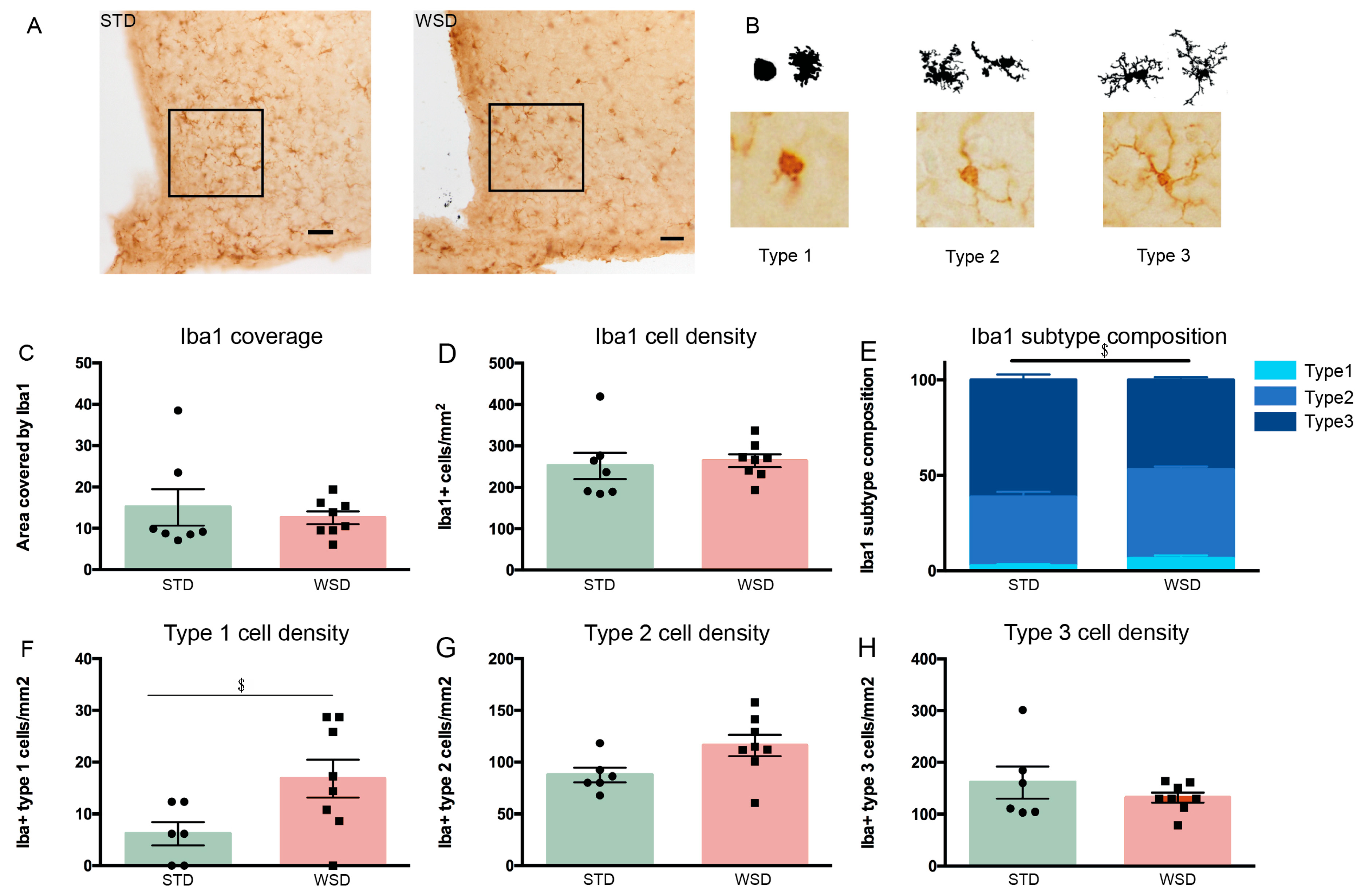 Nutrients 13 00288 g006 Nutrients 13 00288 g006