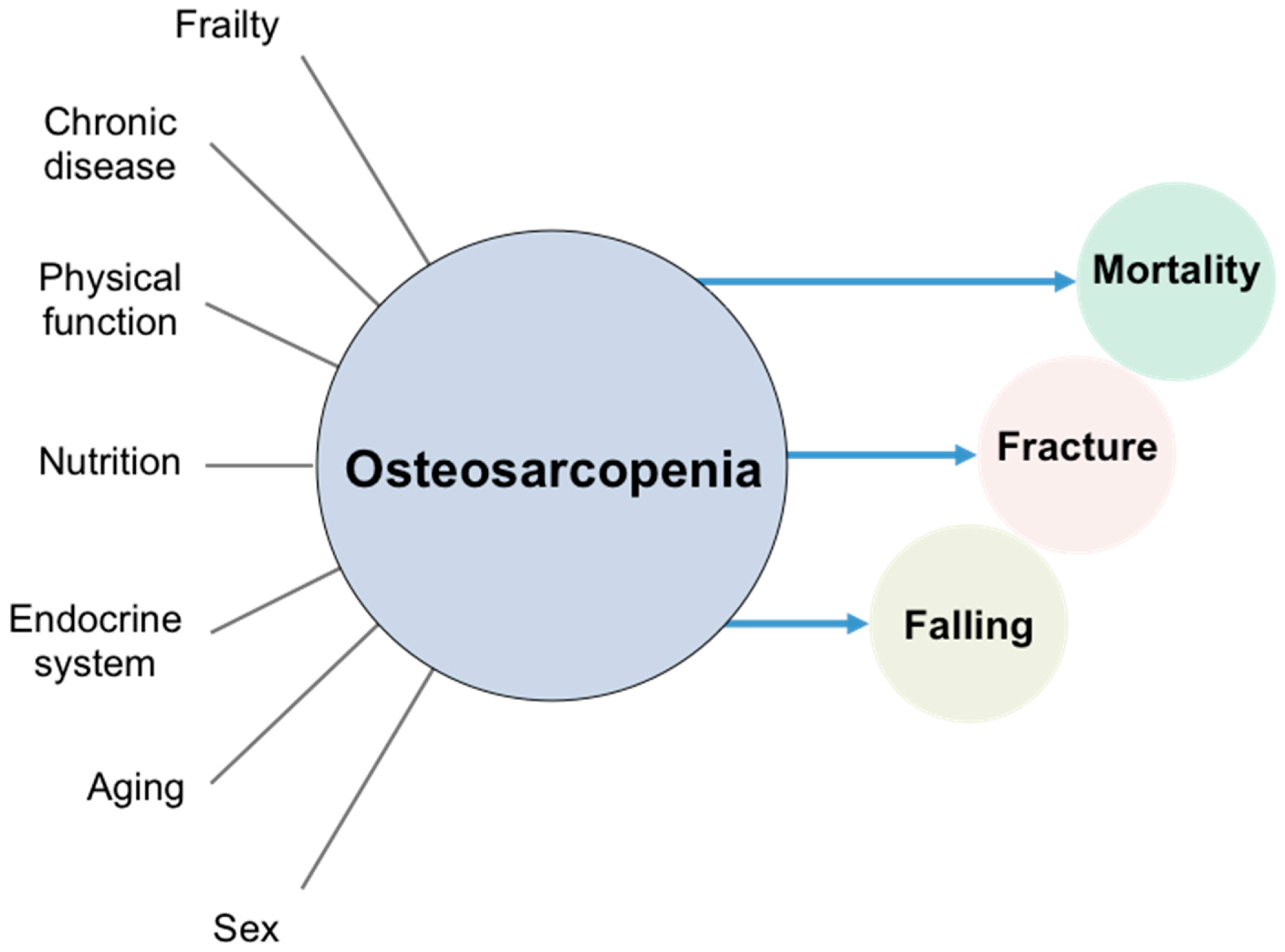 Nutrients 13 00291 g001 Nutrients 13 00291 g001