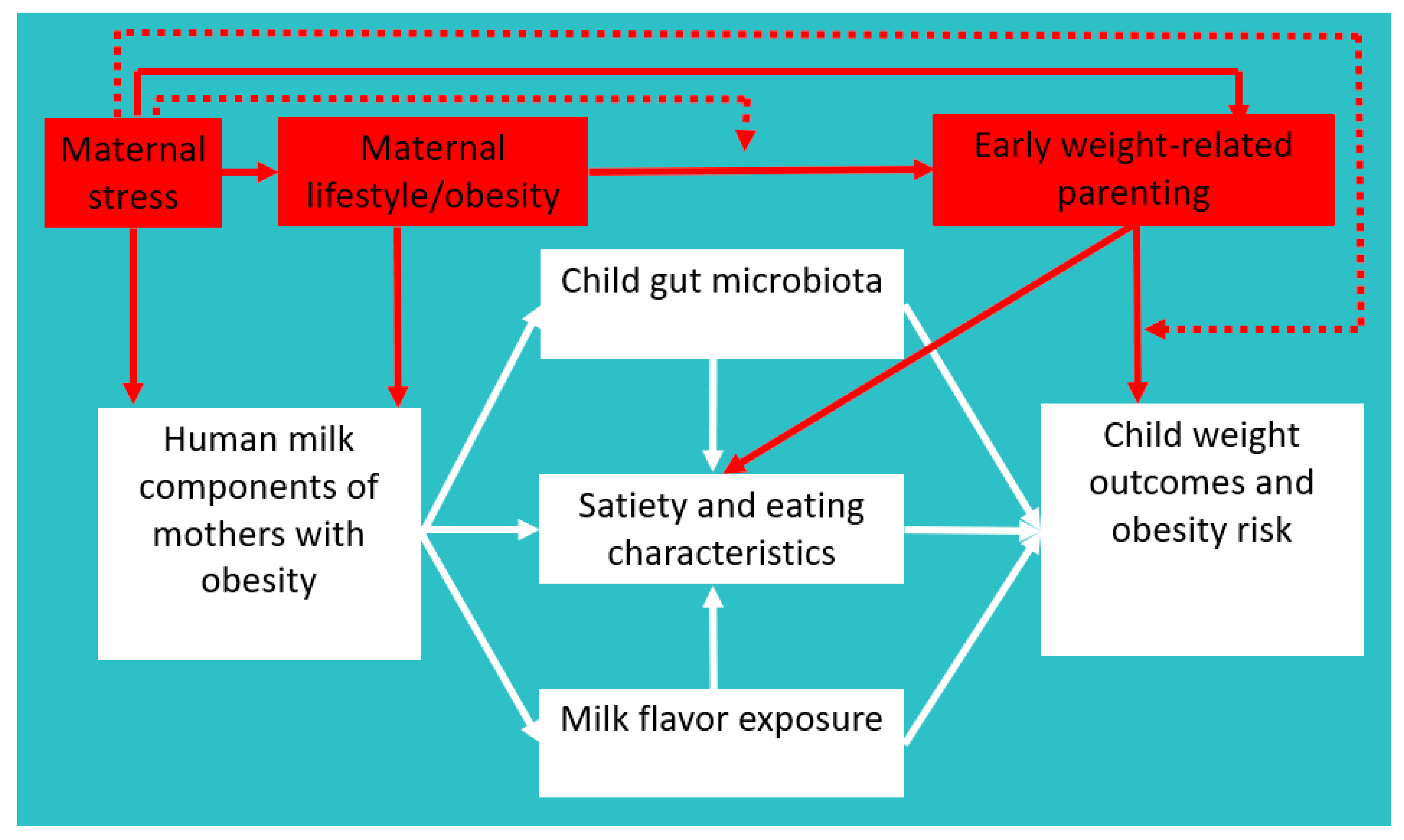 Nutrients 13 00299 g001