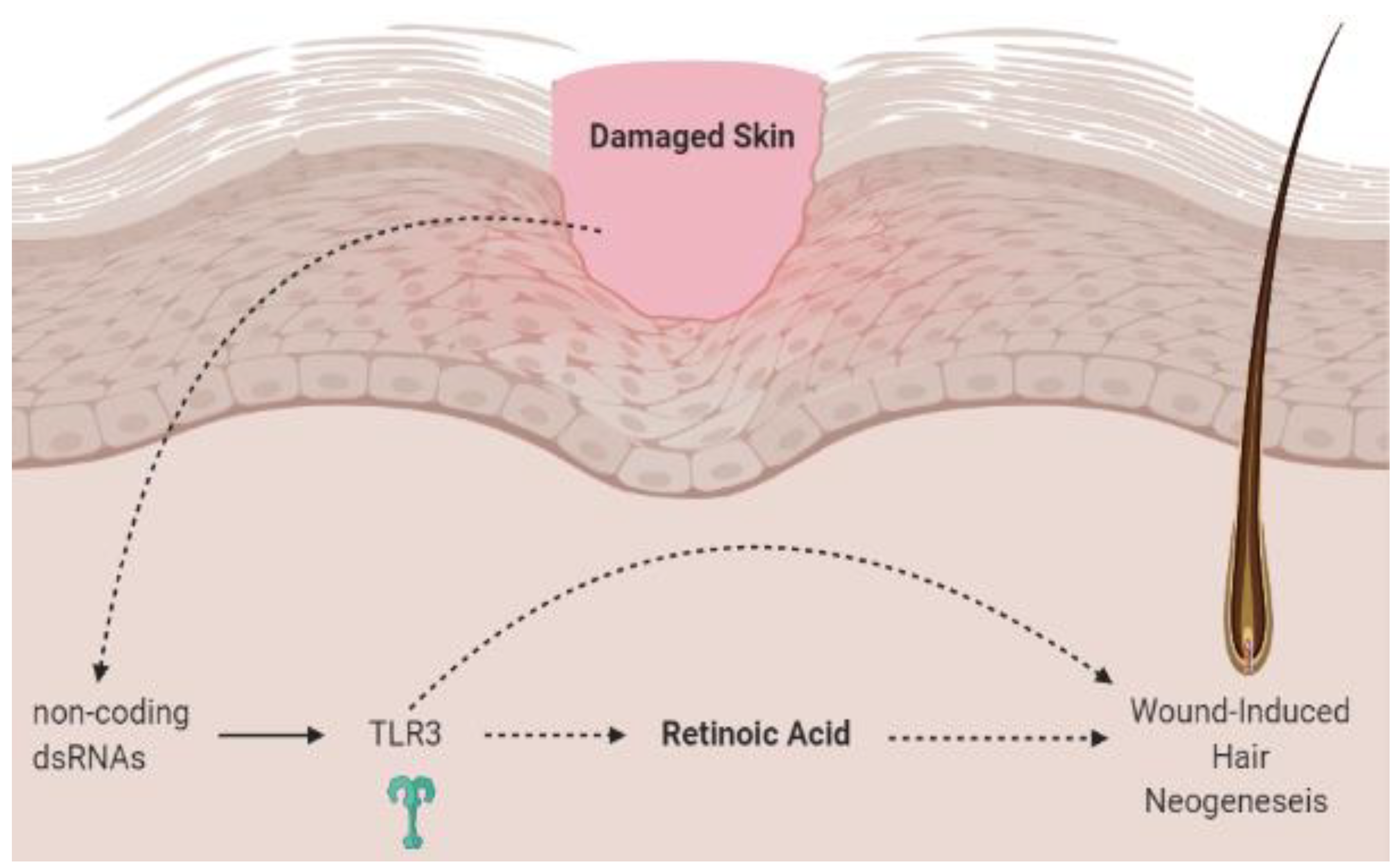 Nutrients 13 00302 g002 Nutrients 13 00302 g002