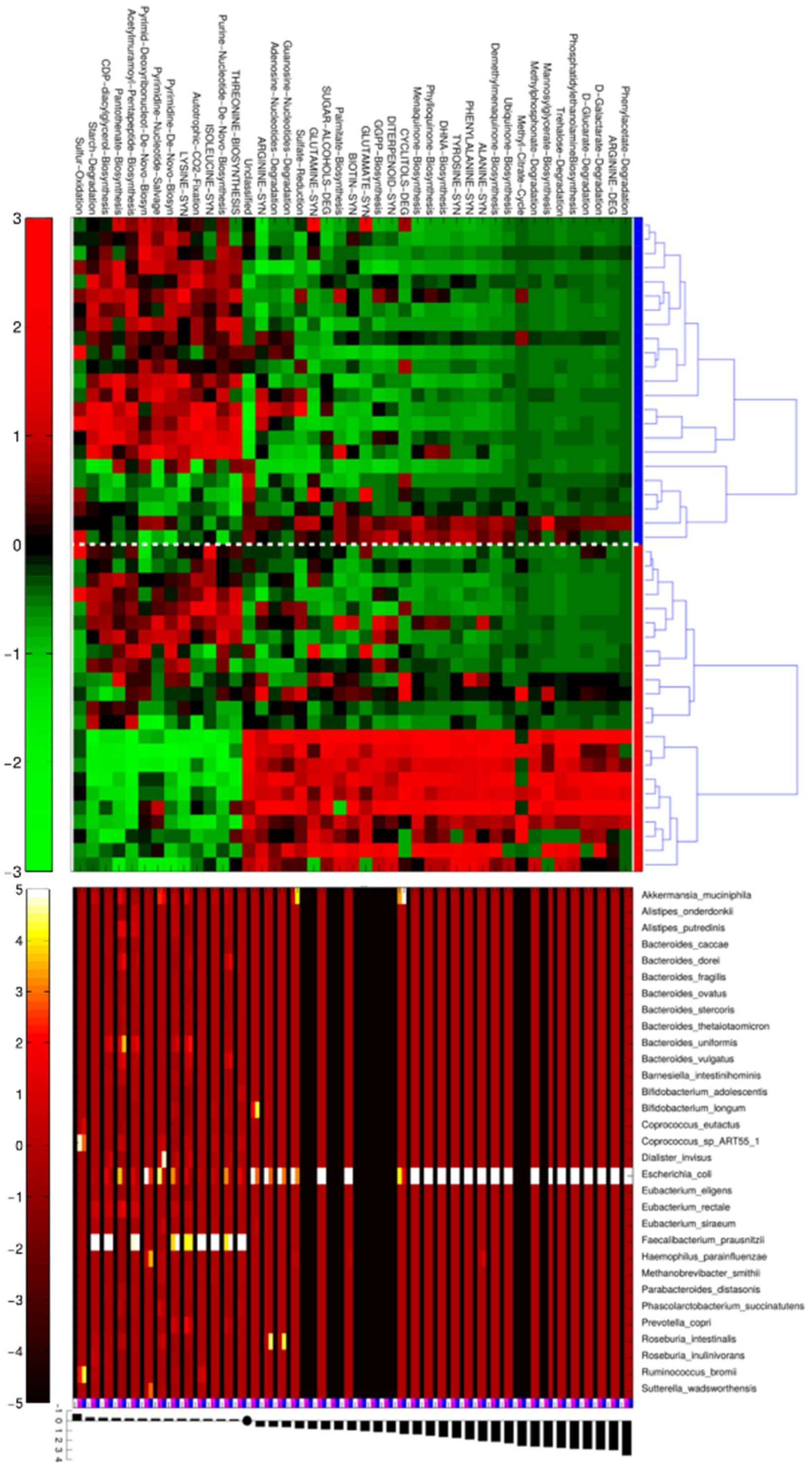 Nutrients 13 00304 g003 Nutrients 13 00304 g003