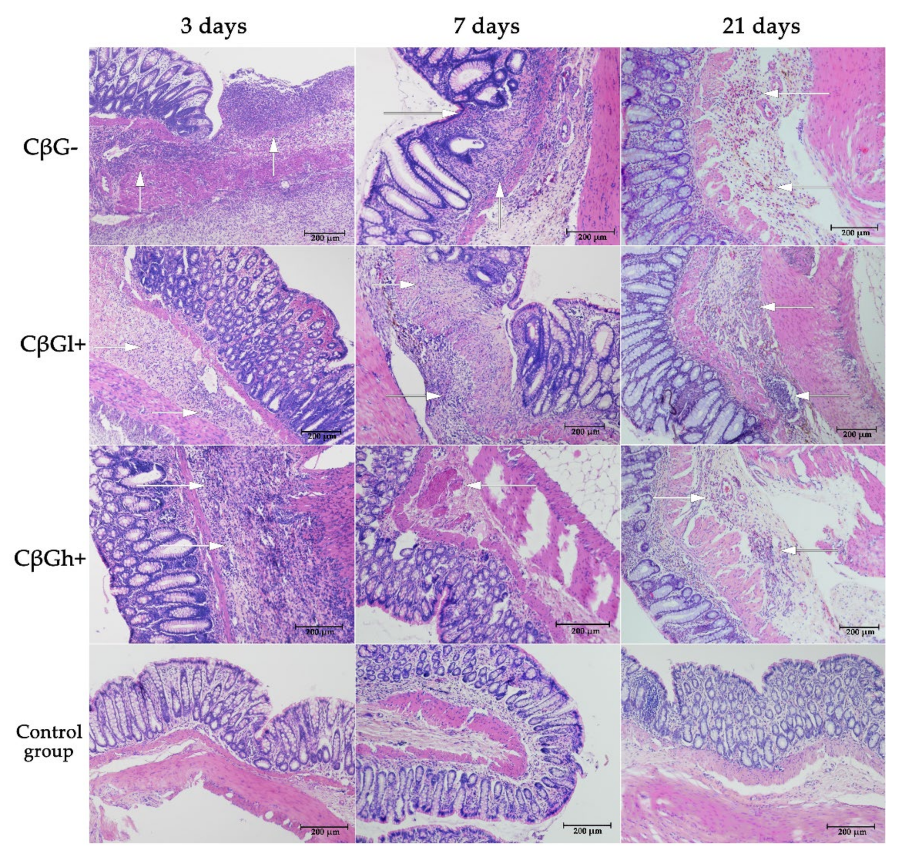 Nutrients 13 00321 g002