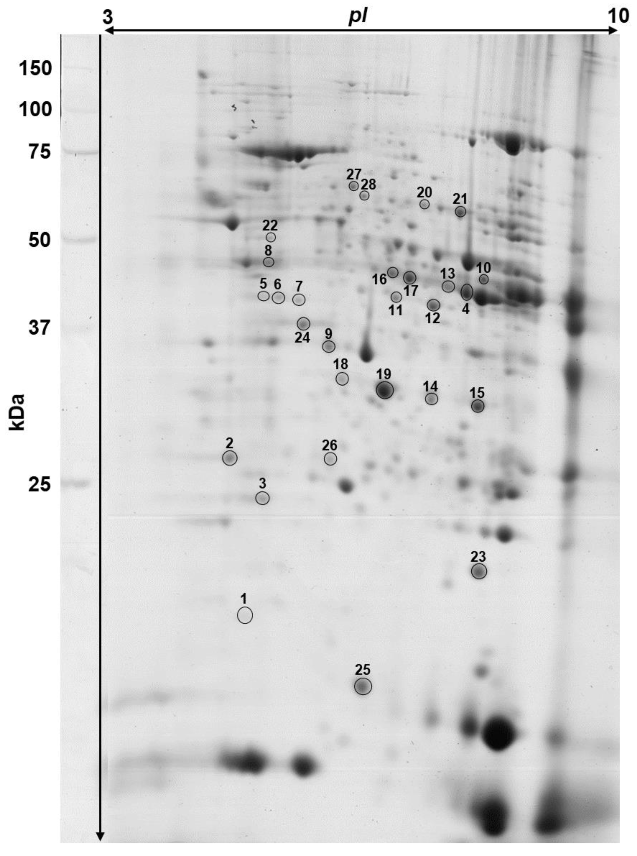 Nutrients 13 00330 g002 Nutrients 13 00330 g002