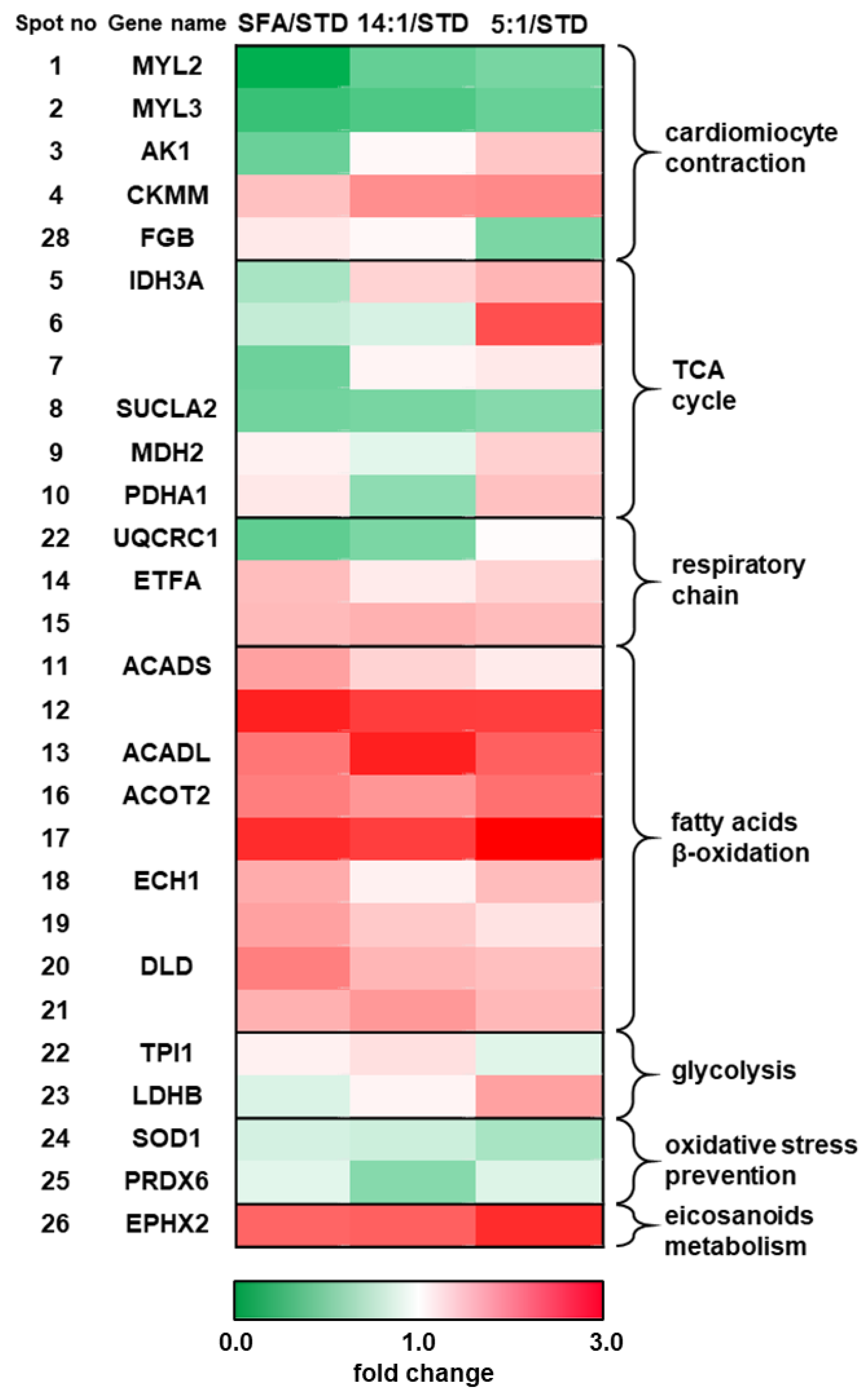 Nutrients 13 00330 g003 Nutrients 13 00330 g003